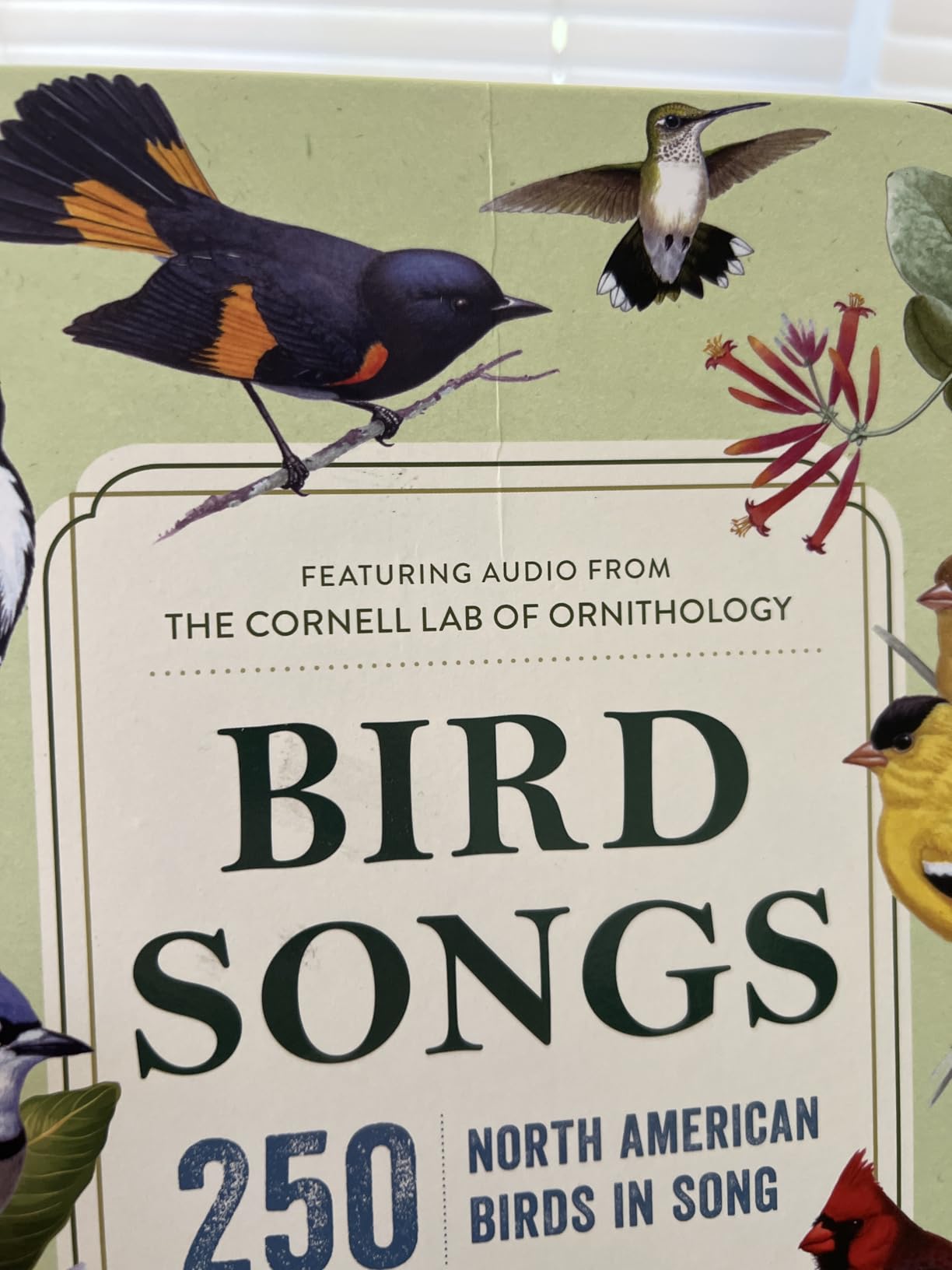 Bird Songs: 250 North American Birds in Song customer photo 1
