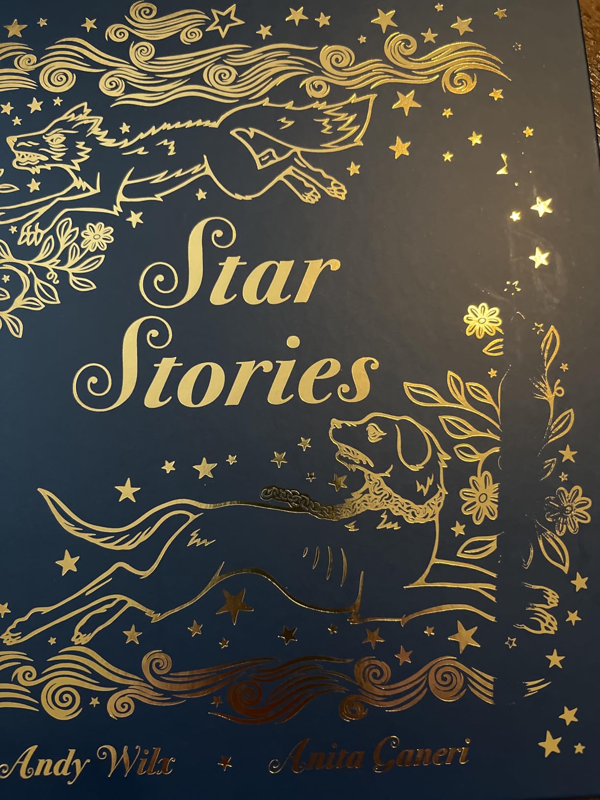 Star Stories: Constellation Tales From Around the World customer photo 1