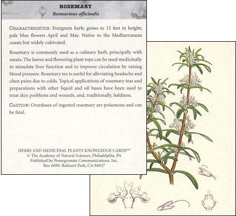 Herbs and Medicinal Plants: The Academy of Natural Sciences Knowledge Cards customer photo 1