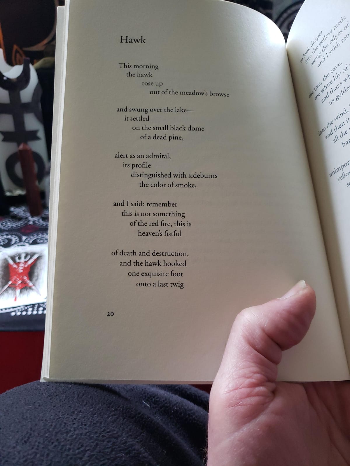 Owls and Other Fantasies: Poems and Essays customer photo 2