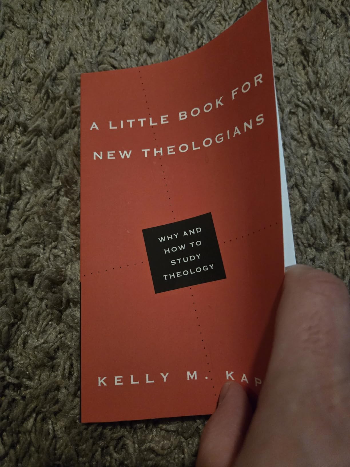 A Little Book for New Theologians: Why and How to Study Theology customer photo 2
