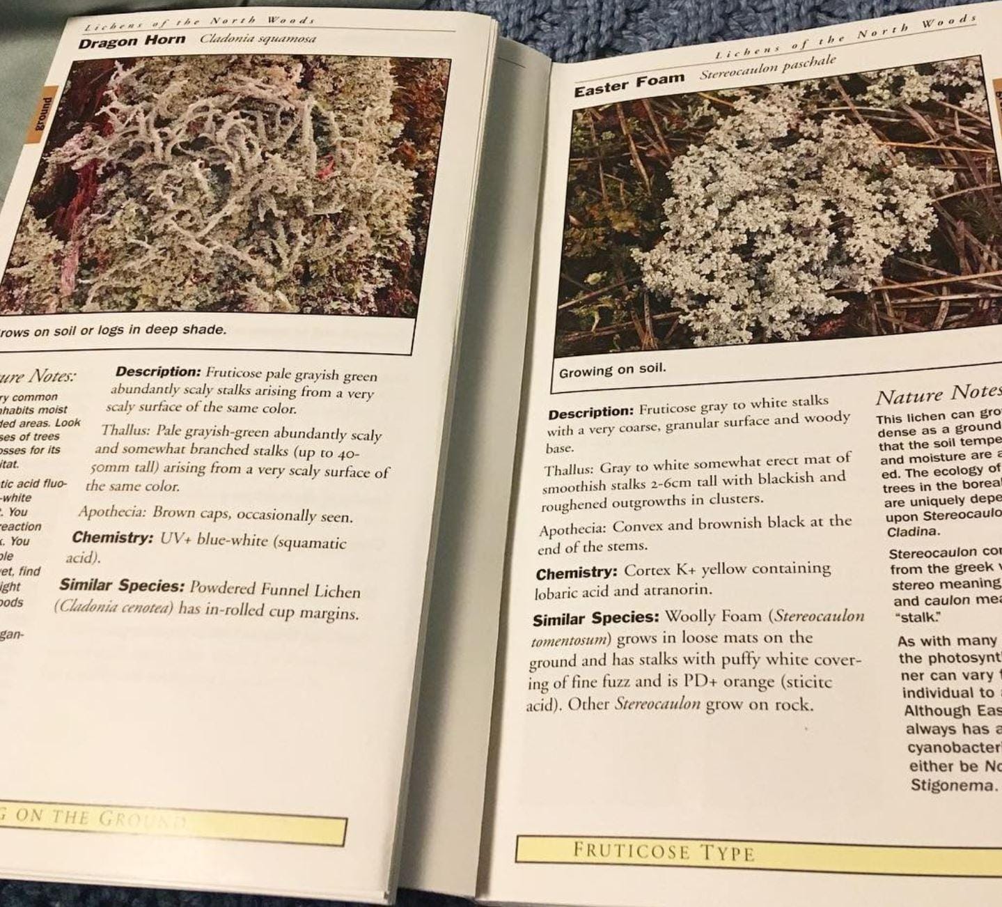 Lichens of the North Woods (Naturalist Series) customer photo 1