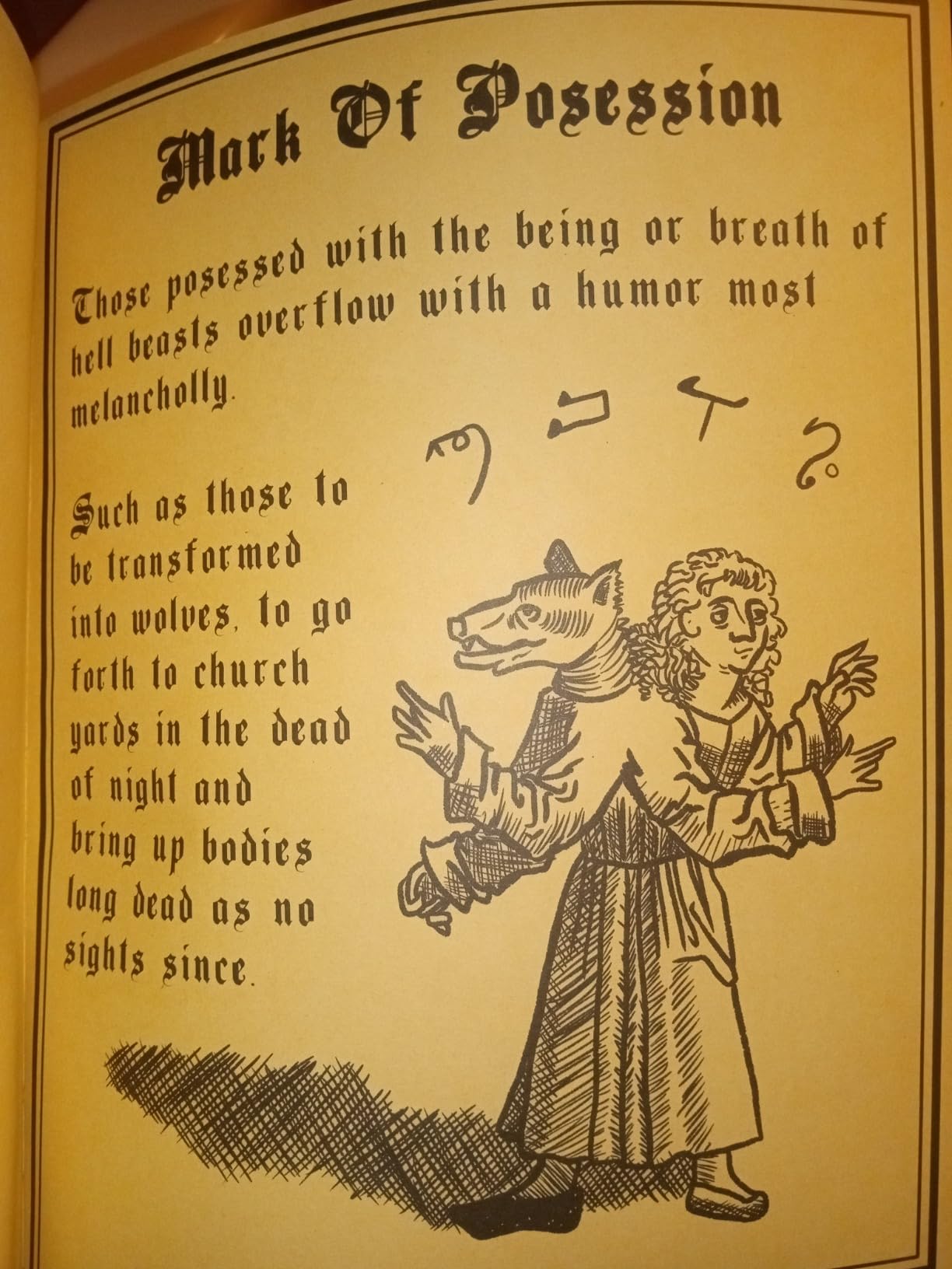 The Hocus Pocus Spell Book customer photo 1