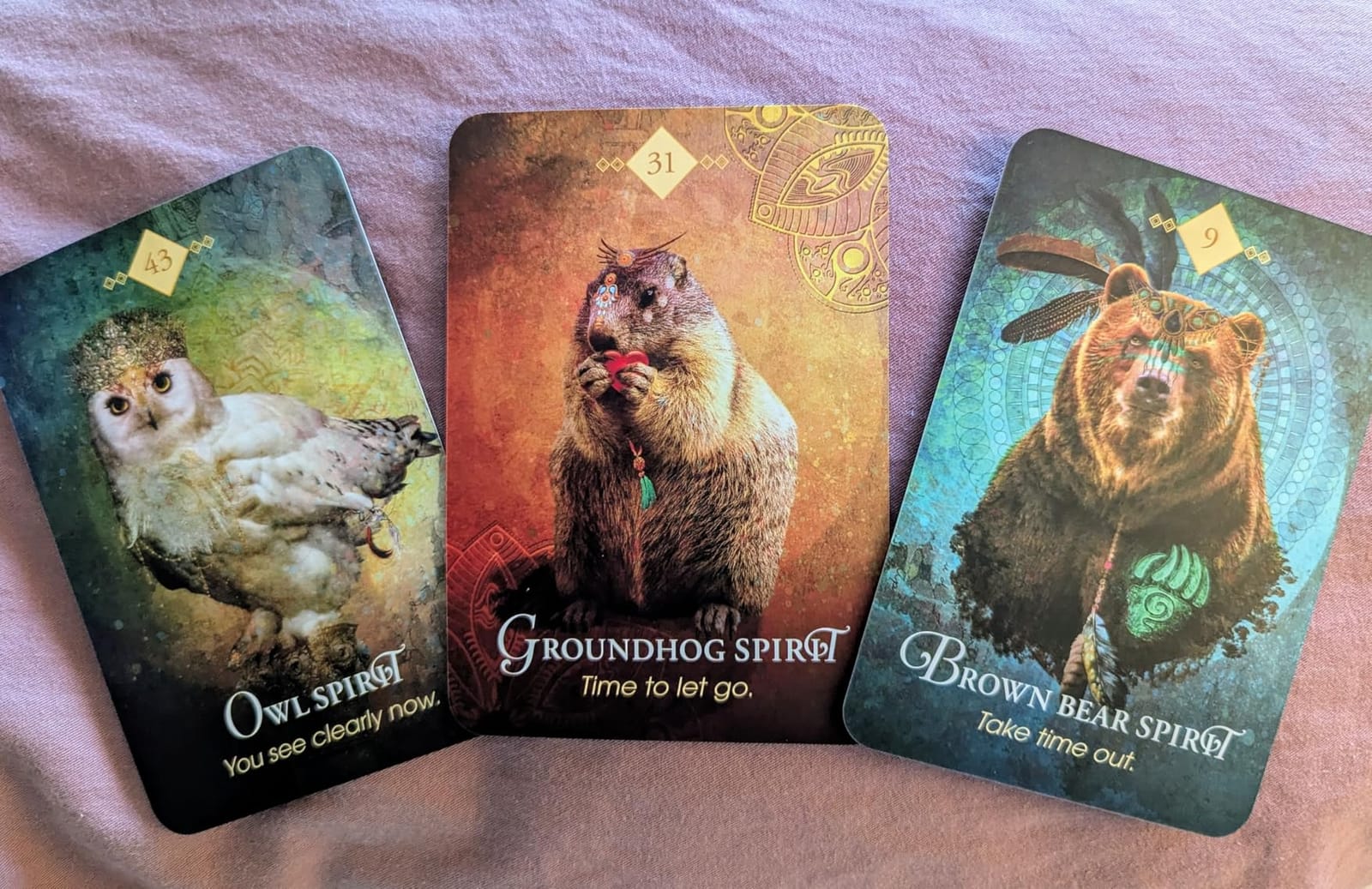 The Spirit Animal Oracle: A 68-Card Deck - Animal Spirit Cards with Guidebook customer photo 1