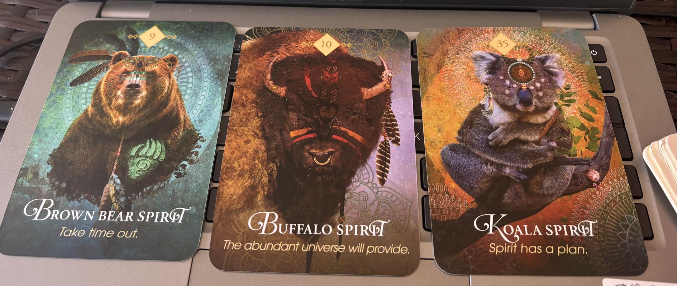 The Spirit Animal Oracle: A 68-Card Deck - Animal Spirit Cards with Guidebook customer photo 2