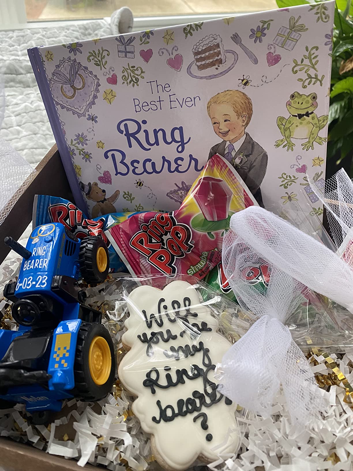 The Best Ever Ring Bearer: All the Best Things About Being in a Wedding (A Special Gift for a Ring Bearer Proposal and to Prepare Him for a Spring or Summer Wedding) customer photo 2