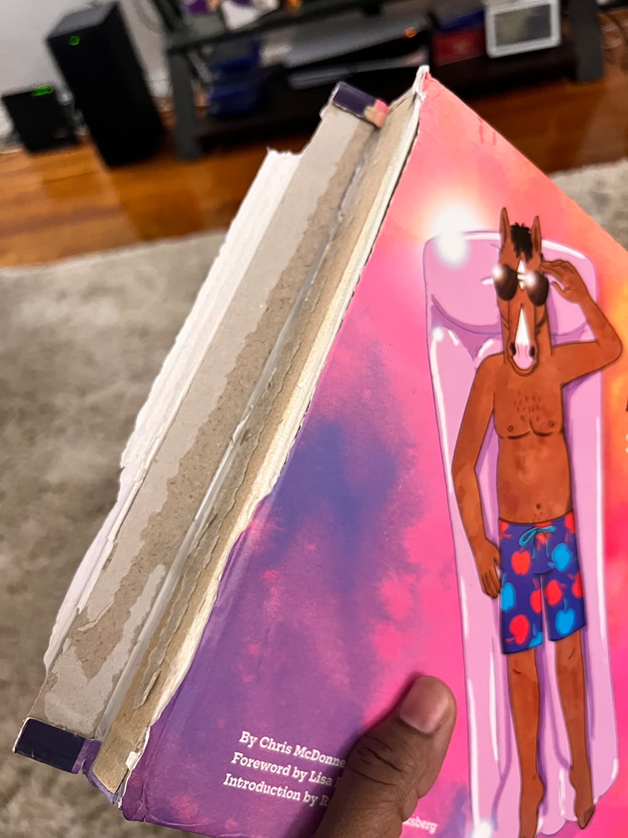 BoJack Horseman: The Art Before the Horse customer photo 1