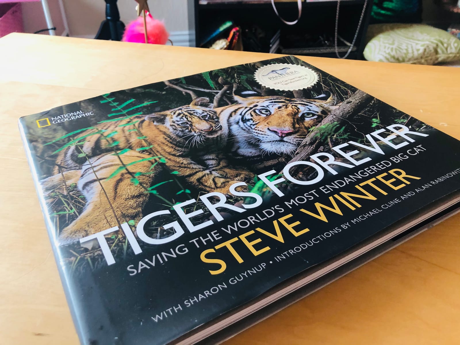 Tigers Forever: Saving the World's Most Endangered Big Cat customer photo 1