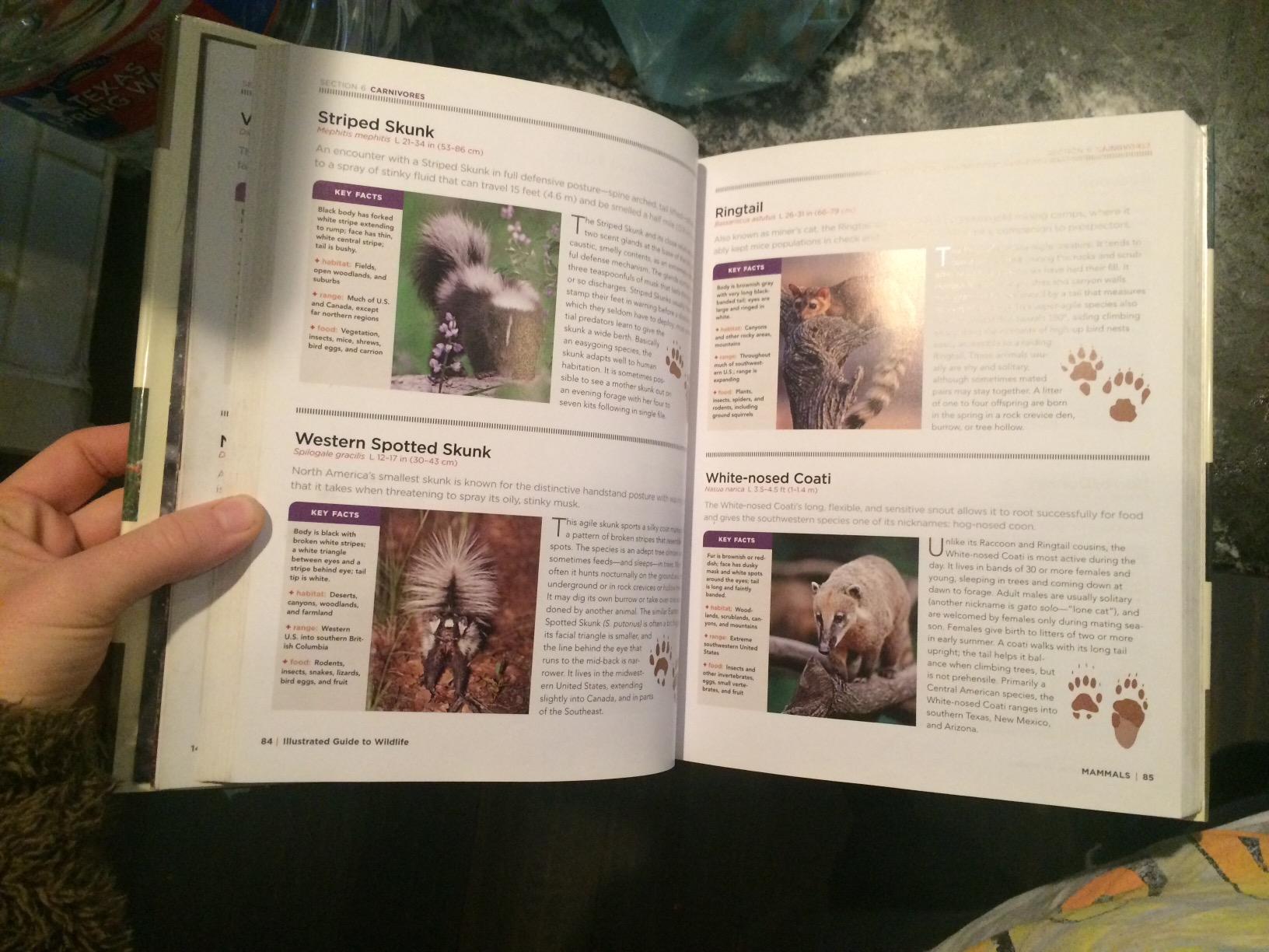 National Geographic Illustrated Guide to Wildlife: From Your Back Door to the Great Outdoors customer photo 1