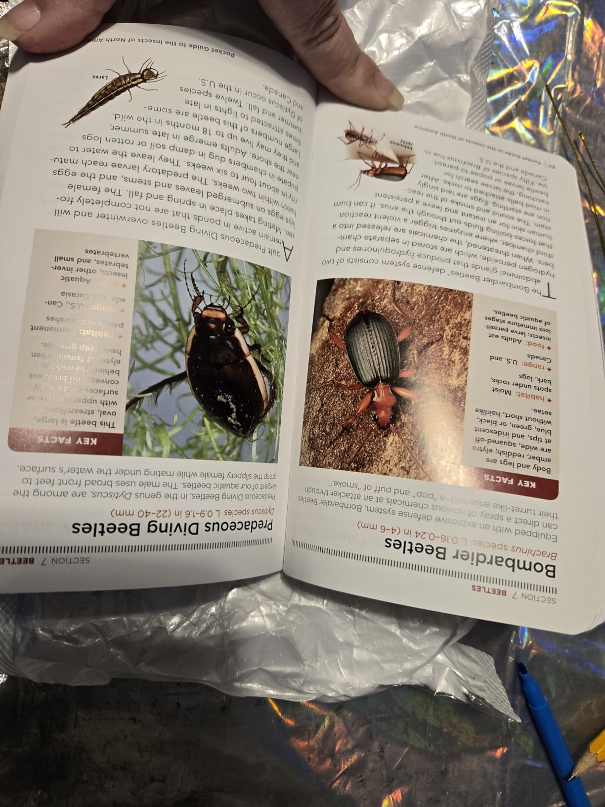 National Geographic Pocket Guide to Insects of North America: From Your Favorite Field Guide Experts customer photo 1