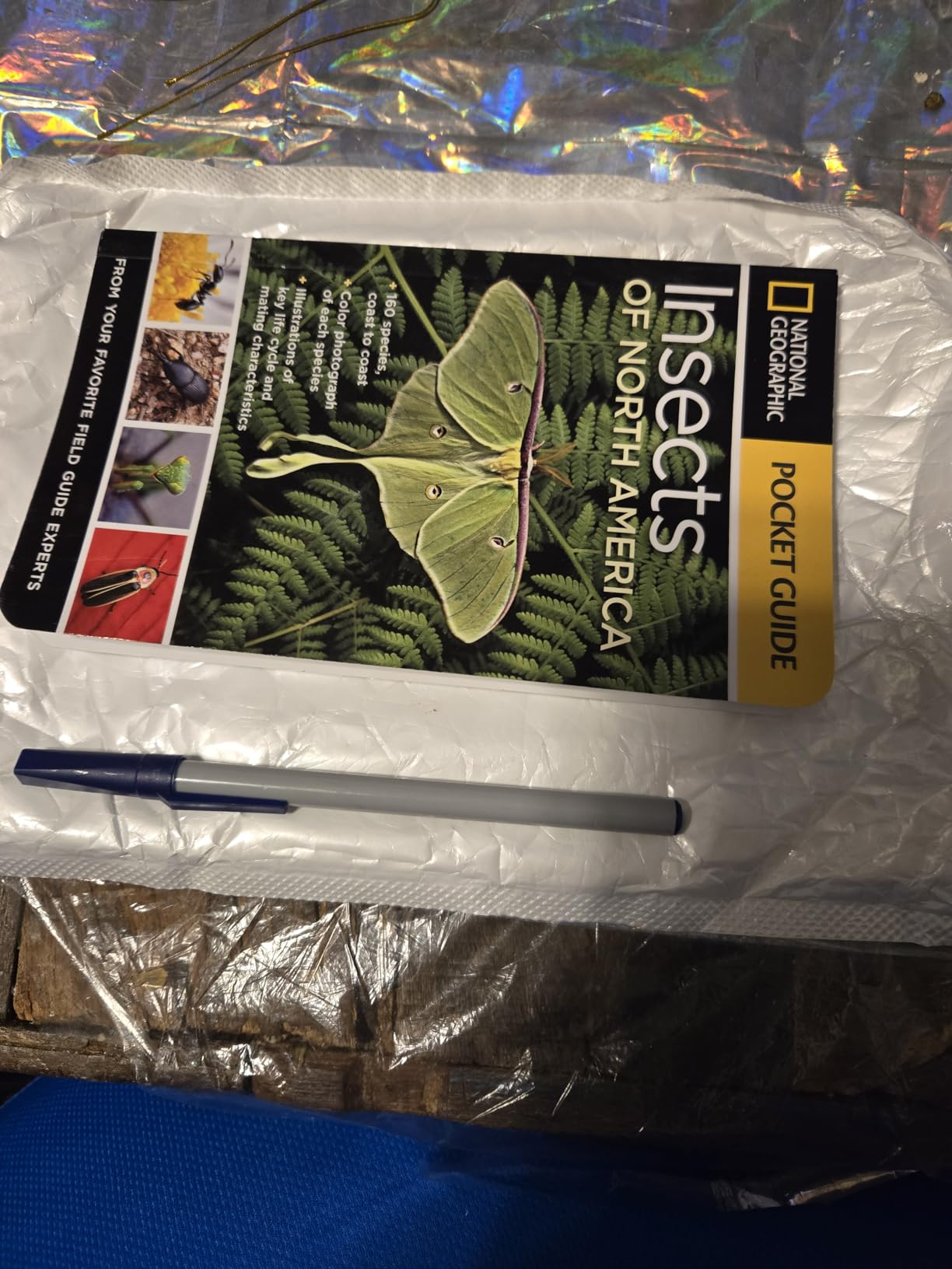 National Geographic Pocket Guide to Insects of North America: From Your Favorite Field Guide Experts customer photo 2