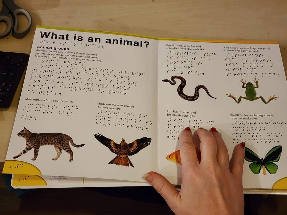 DK Braille: Animals (DK Braille Books) customer photo 1