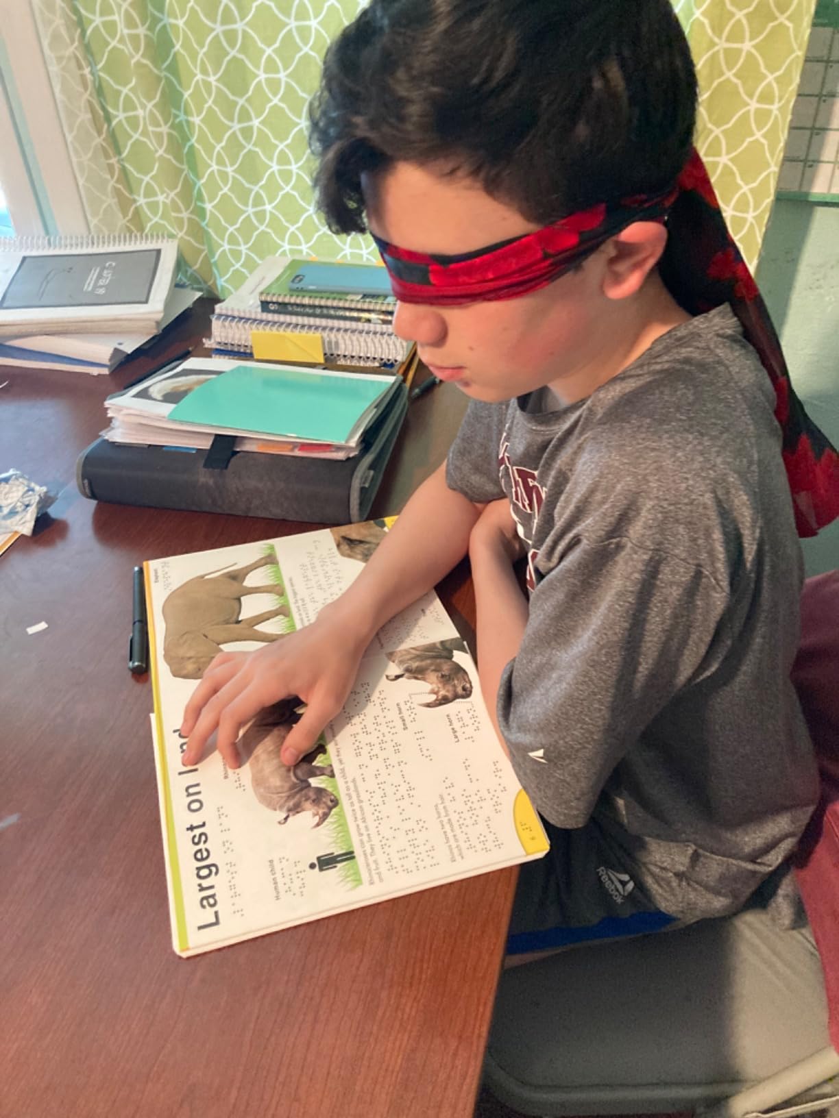 DK Braille: Animals (DK Braille Books) customer photo 2