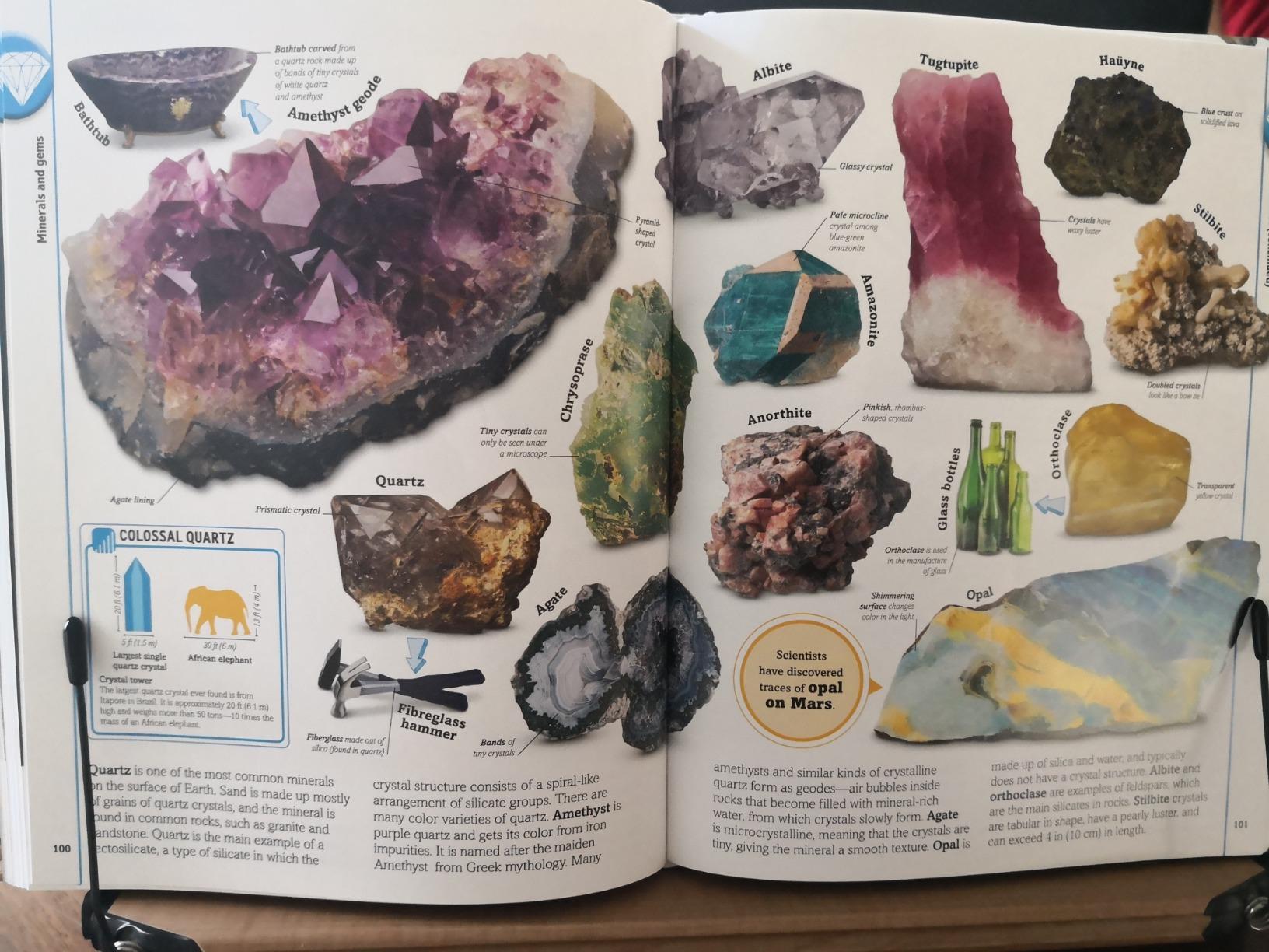 The Rock and Gem Book: And Other Treasures of the Natural World (DK Our World in Pictures) customer photo 1