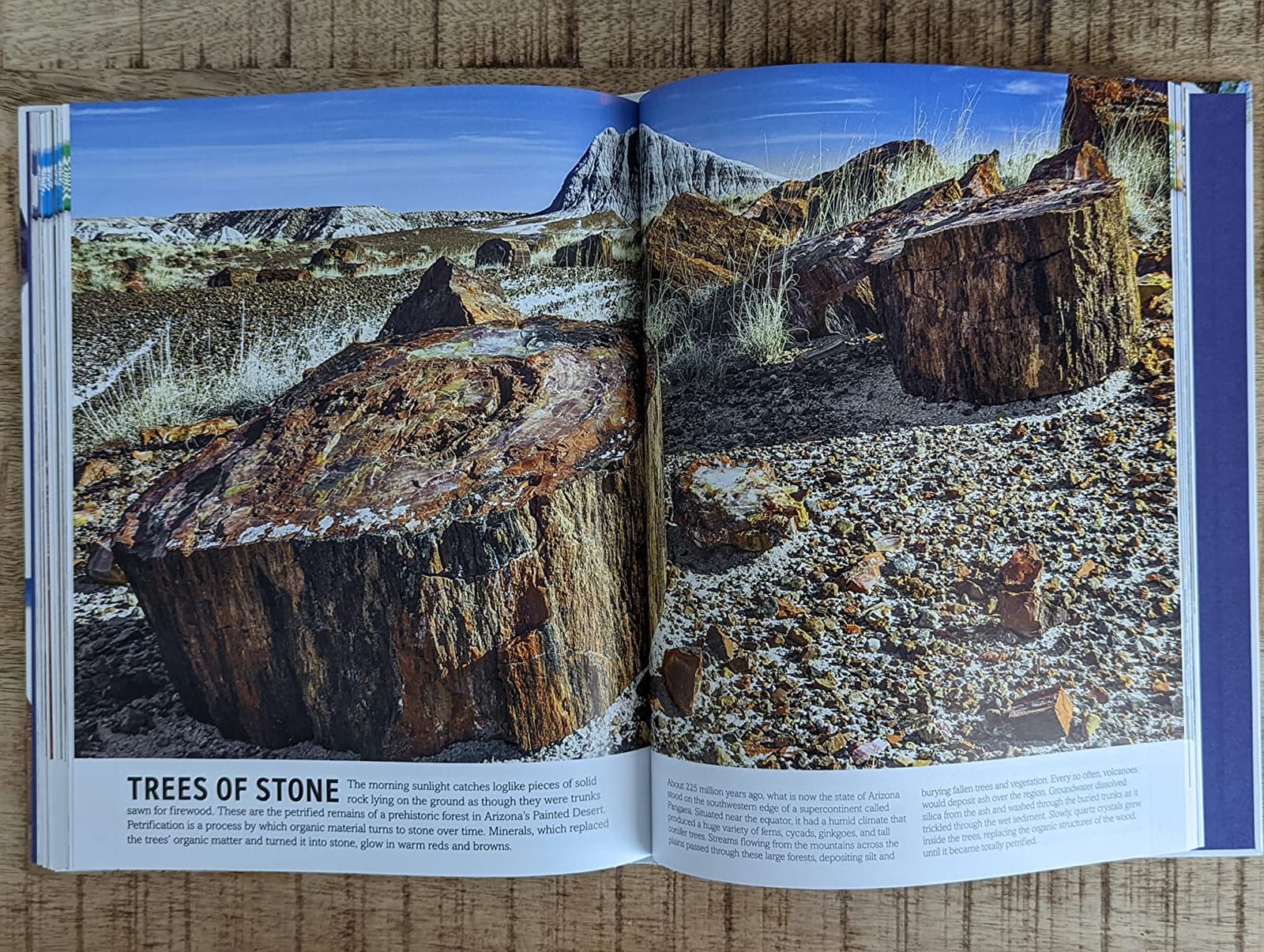The Rock and Gem Book: And Other Treasures of the Natural World (DK Our World in Pictures) customer photo 2