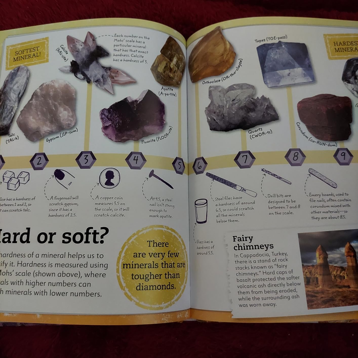 My Book of Rocks and Minerals: Things to Find, Collect, and Treasure customer photo 1