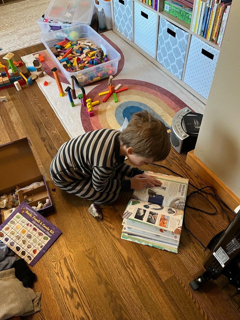 My Book of Rocks and Minerals: Things to Find, Collect, and Treasure customer photo 2