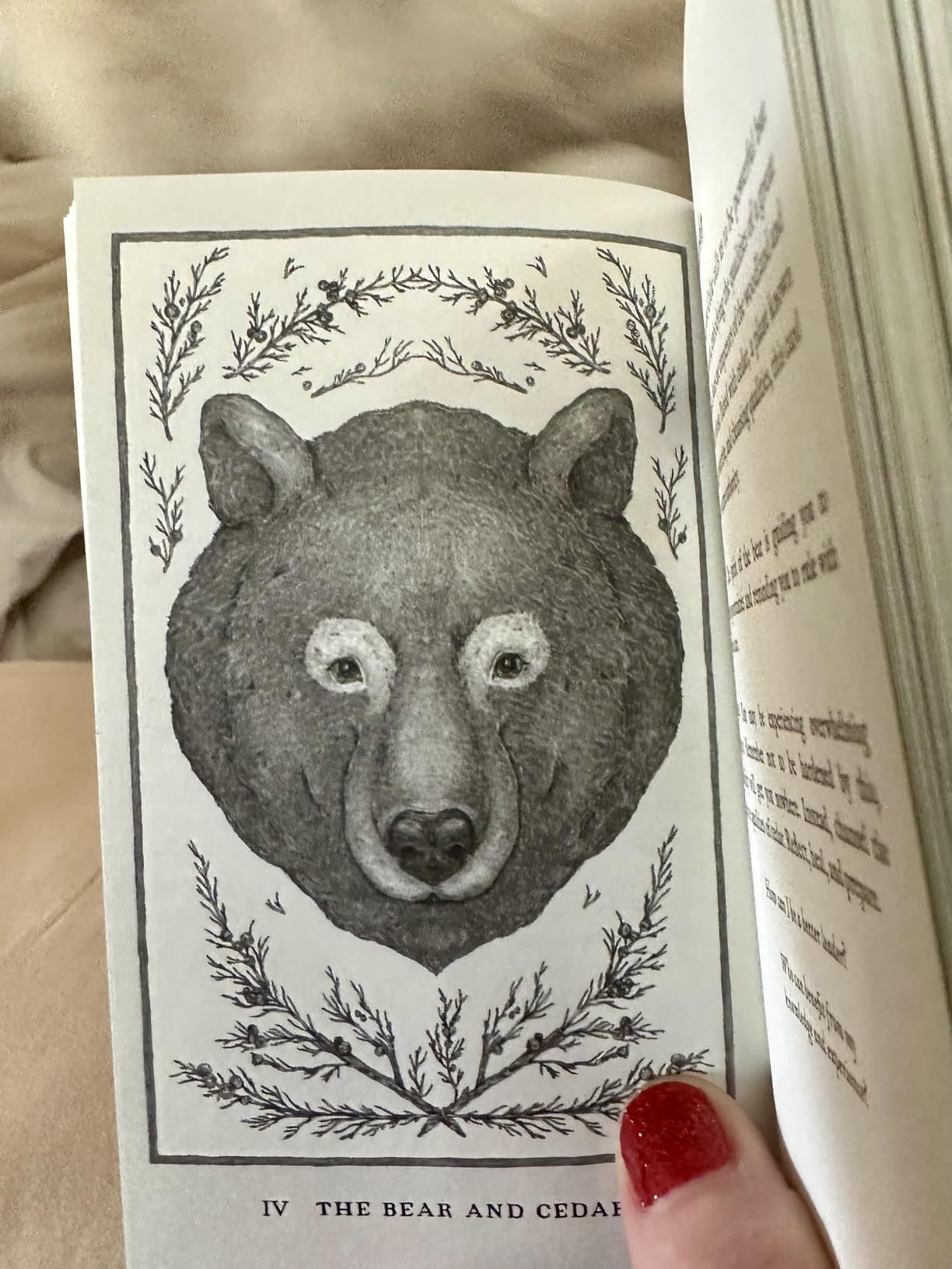 Woodland Wardens: 52-Card Oracle Deck & Guidebook customer photo 1