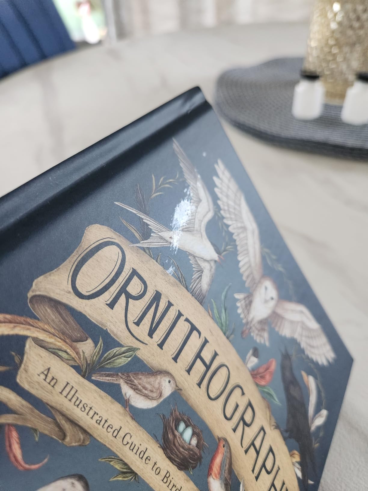 Ornithography: An Illustrated Guide to Bird Lore & Symbolism (Volume 2) (Hidden Languages) customer photo 1