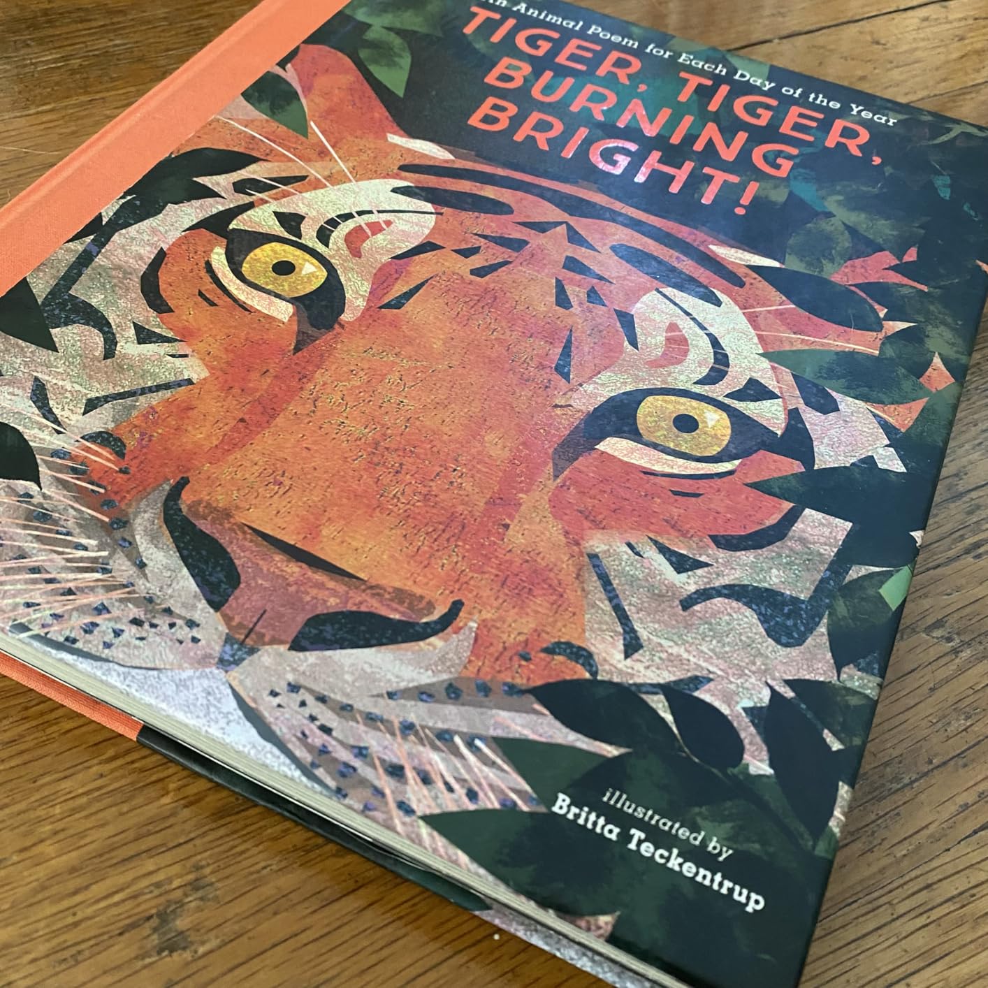 Tiger, Tiger, Burning Bright!: An Animal Poem for Each Day of the Year customer photo 2