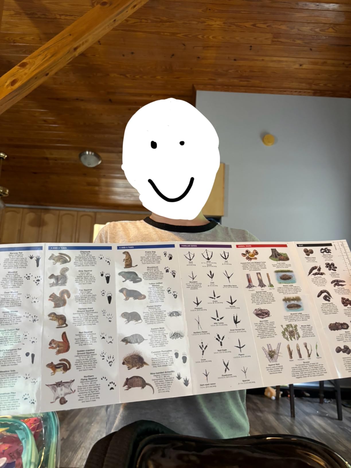 Animal Tracks: A Folding Pocket Guide to the Tracks & Signs of Familiar North American Species (Wildlife and Nature Identification) customer photo 1