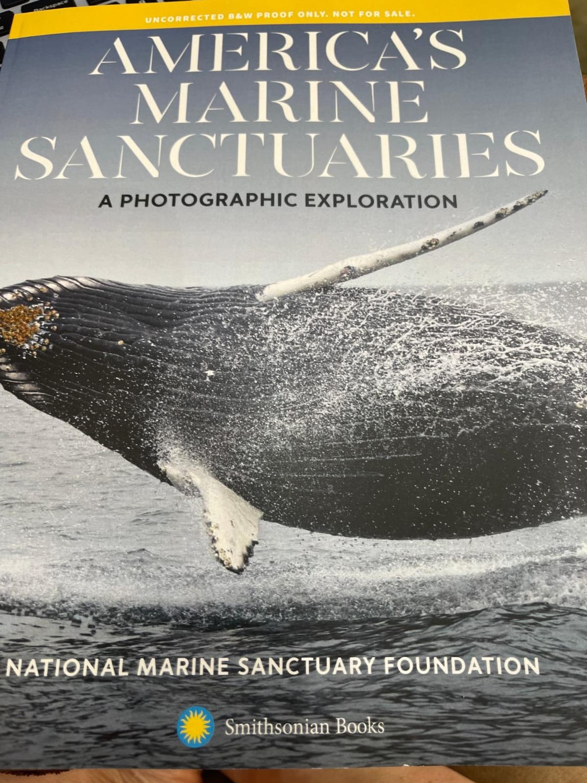America's Marine Sanctuaries: A Photographic Exploration customer photo 1