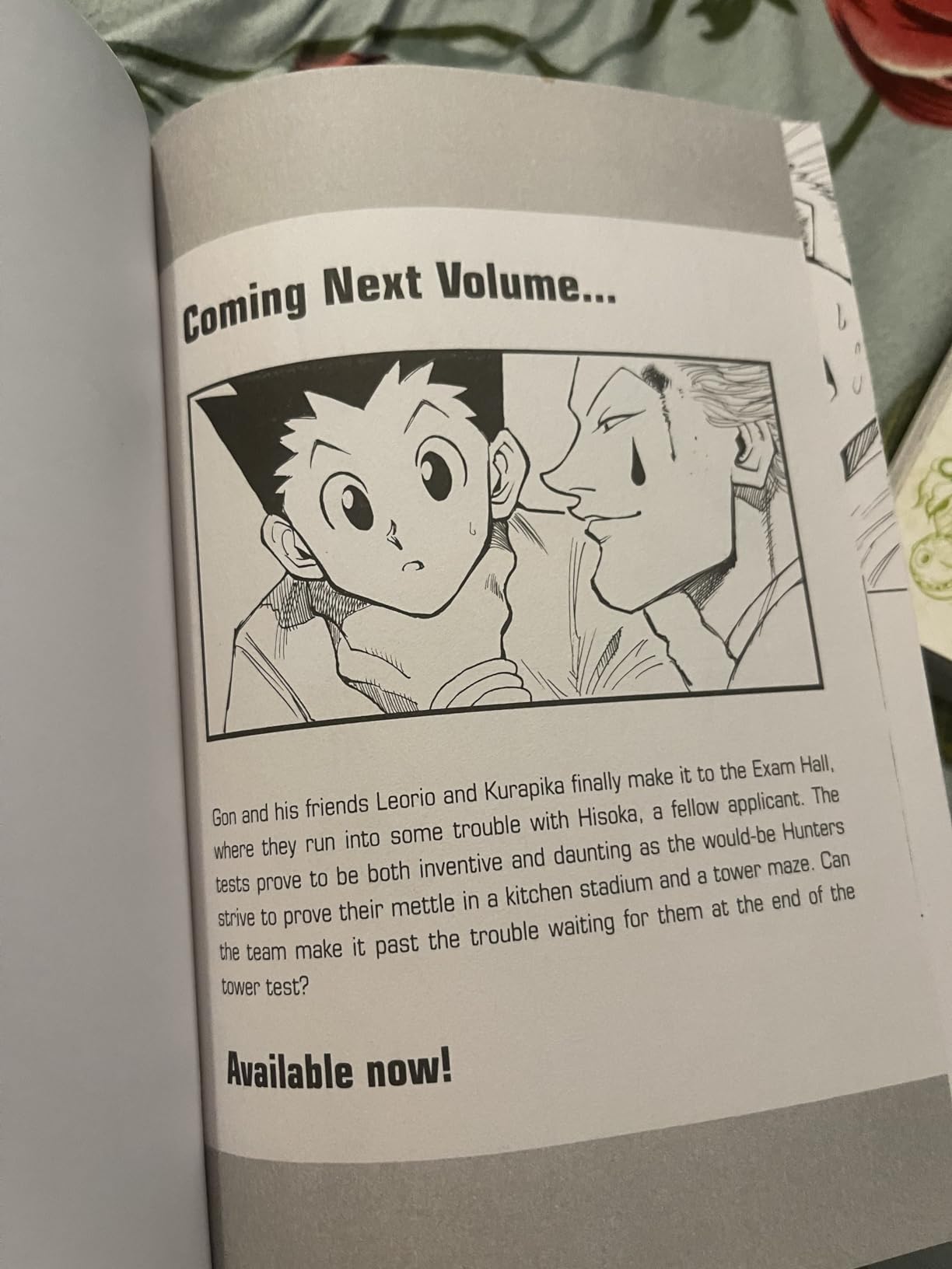 Hunter x Hunter, Vol. 1: The Day of Departure customer photo 1