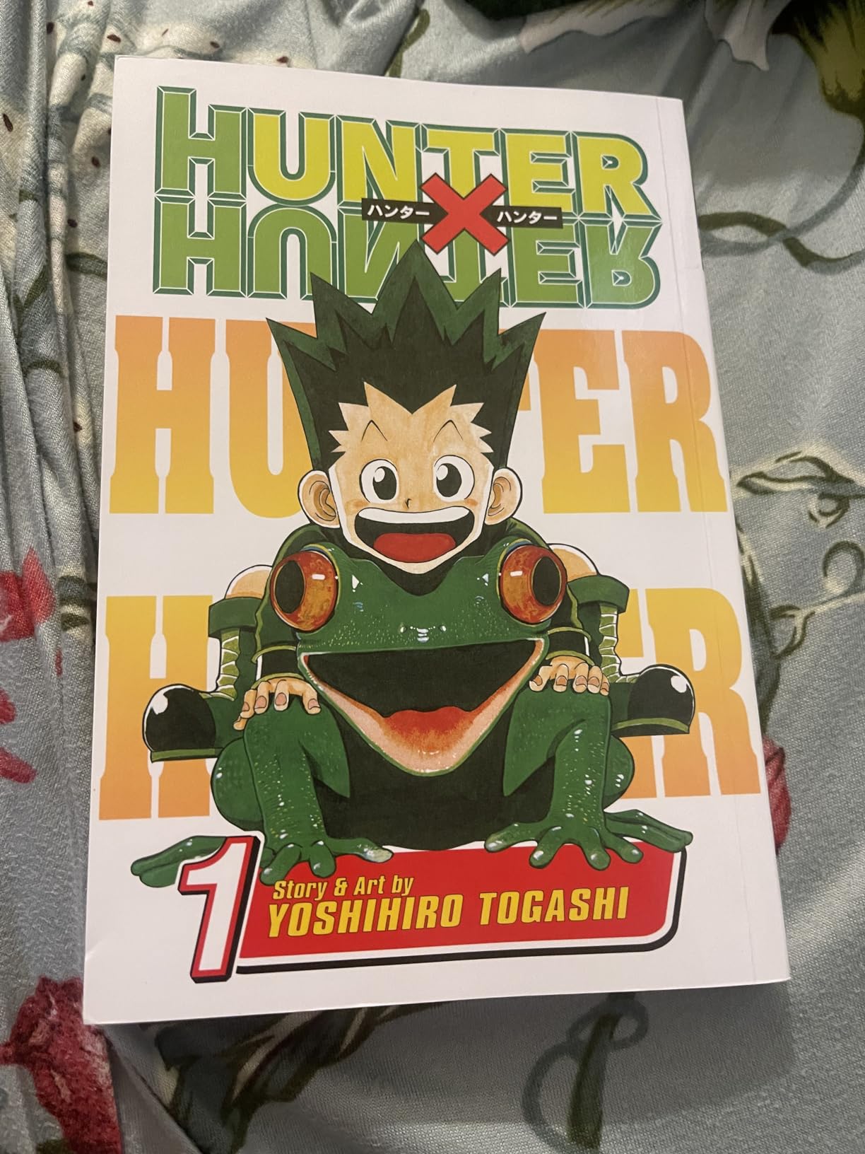 Hunter x Hunter, Vol. 1: The Day of Departure customer photo 2