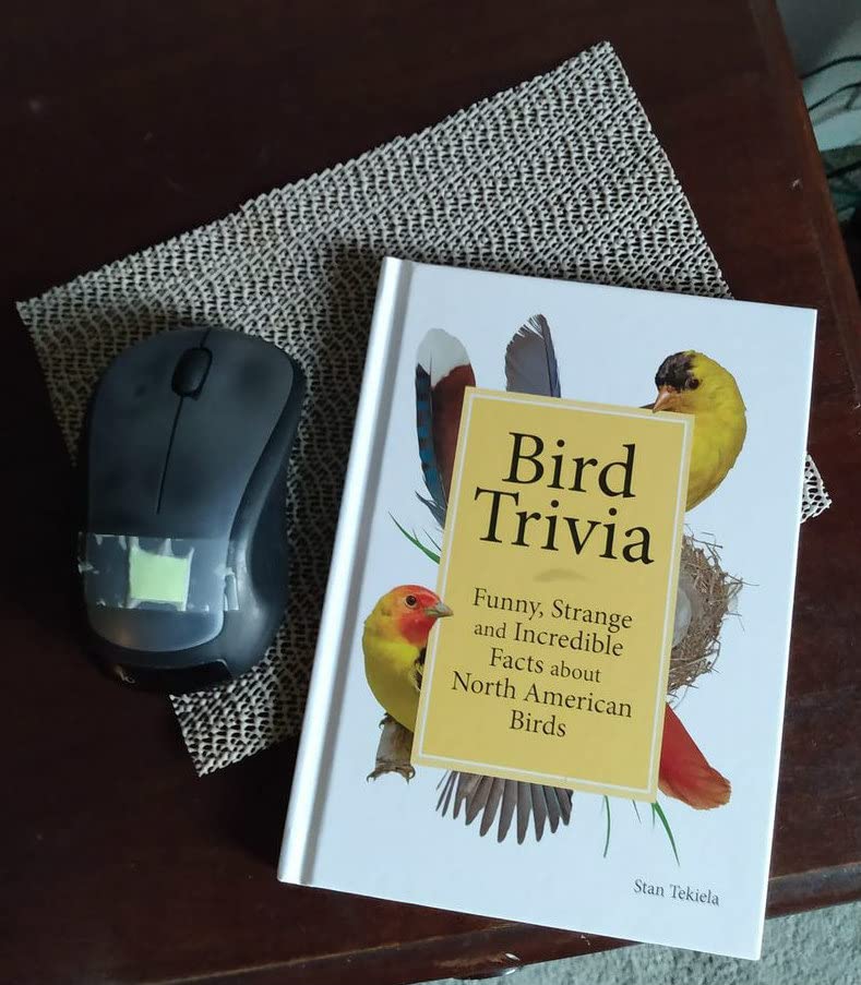 Bird Trivia: Funny, Strange and Incredible Facts about North American Birds customer photo 1