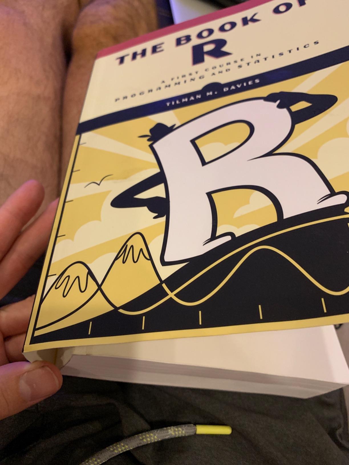 The Book of R: A First Course in Programming and Statistics customer photo 2