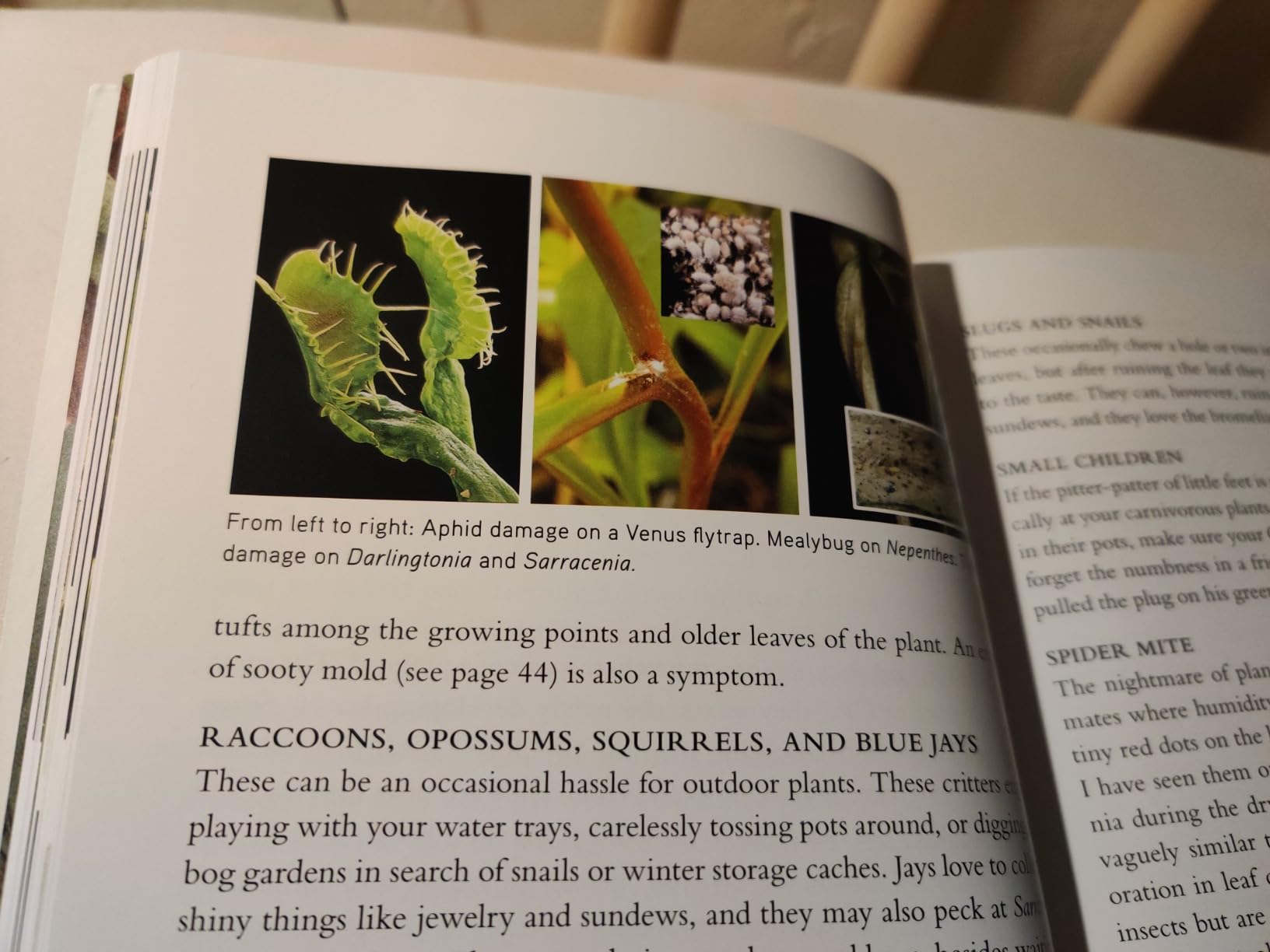 The Savage Garden, Revised: Cultivating Carnivorous Plants customer photo 2