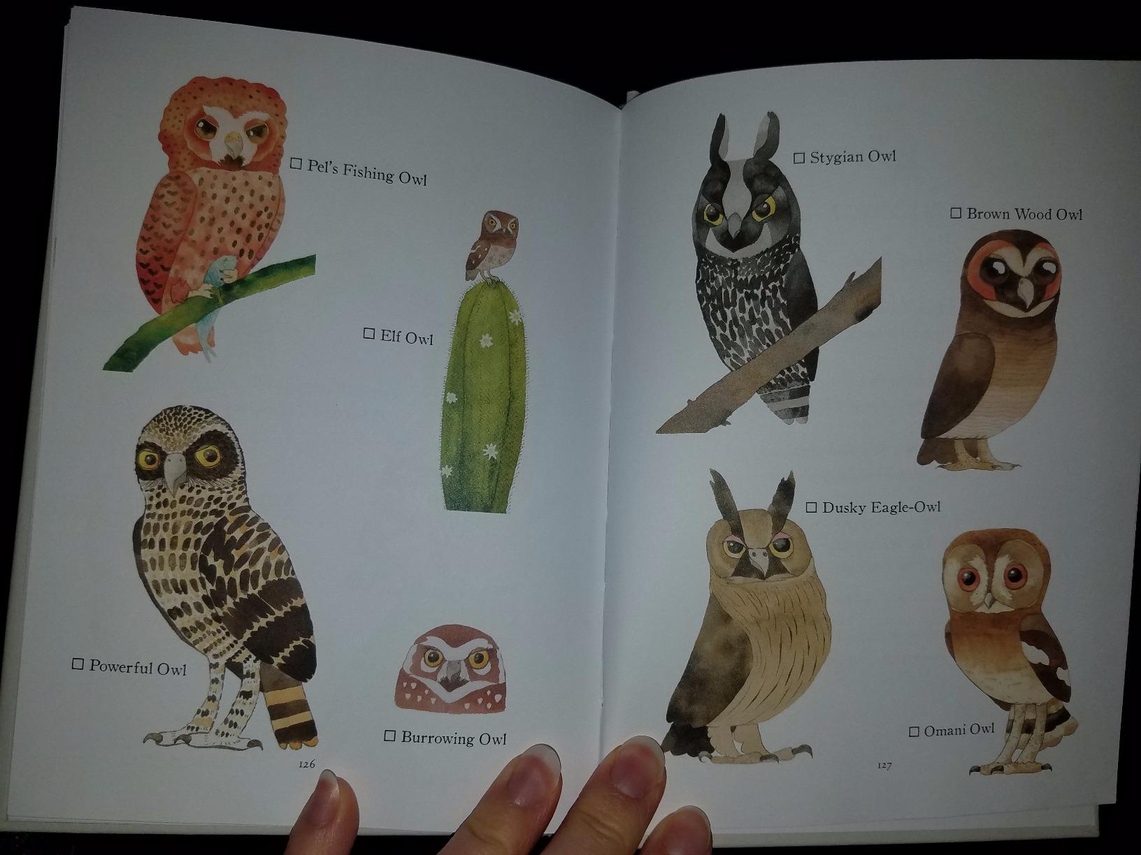 Owls: Our Most Charming Bird customer photo 2