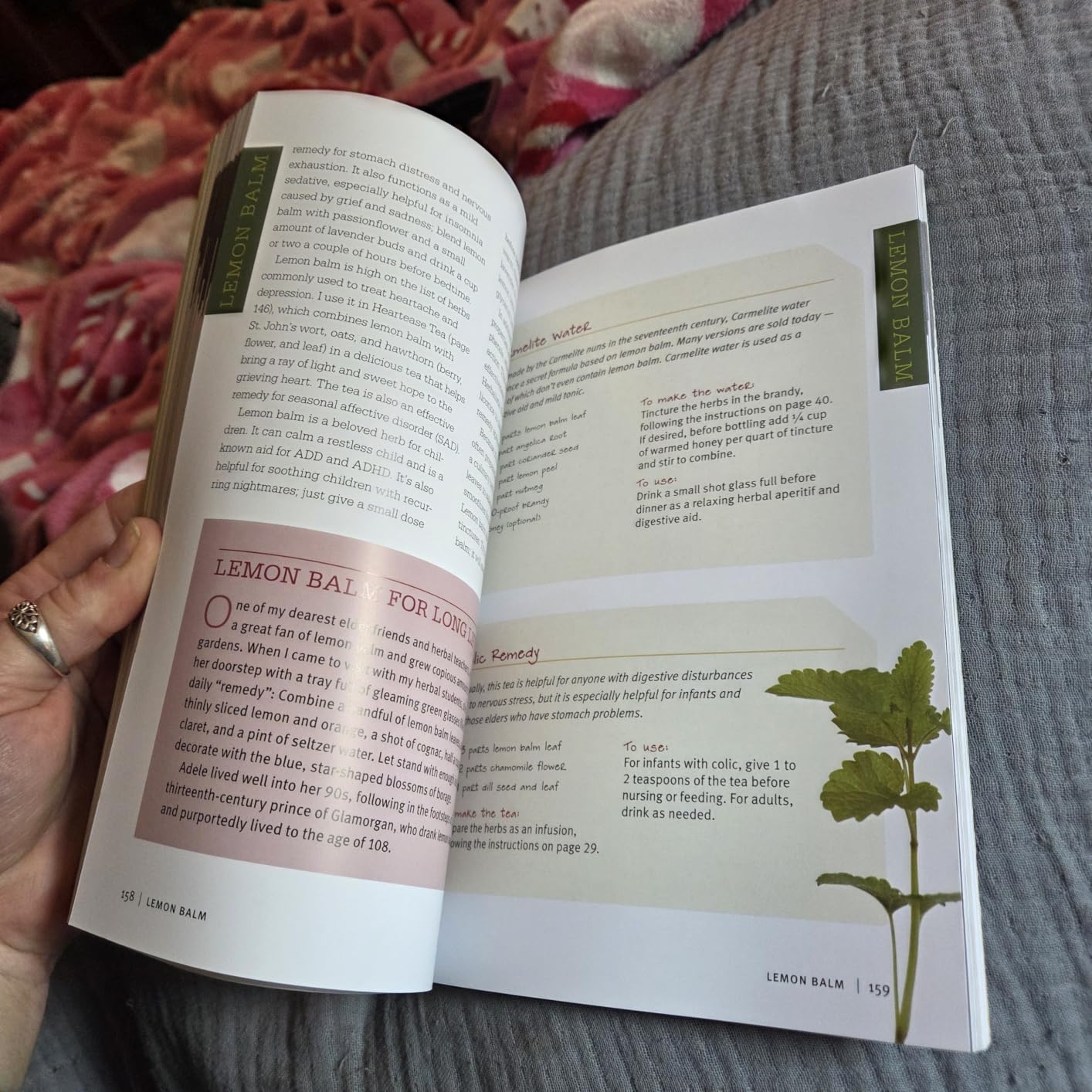 Rosemary Gladstar's Medicinal Herbs: A Beginner's Guide: 33 Healing Herbs to Know, Grow, and Use customer photo 1