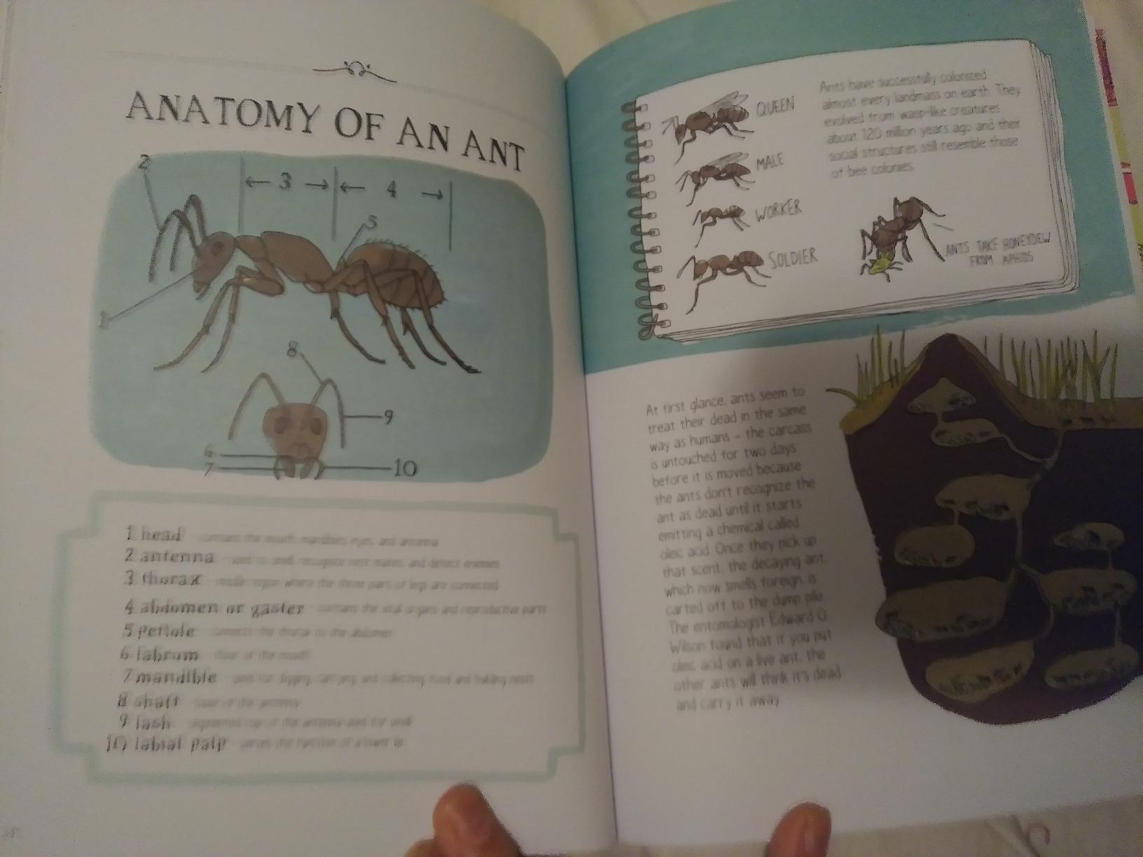 Nature Anatomy: The Curious Parts and Pieces of the Natural World customer photo 1