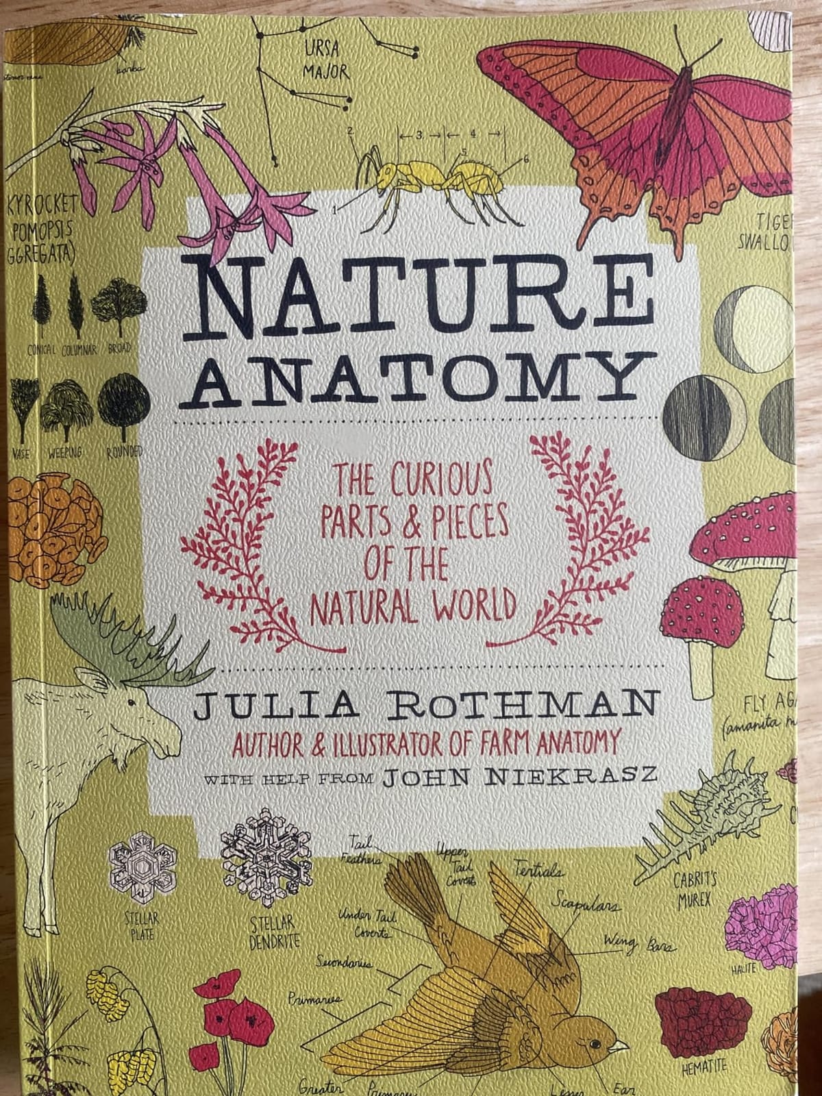 Nature Anatomy: The Curious Parts and Pieces of the Natural World customer photo 2