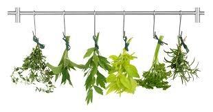 Healing Herbal Teas: Learn to Blend 101 Specially Formulated Teas for Stress Management, Common Ailments, Seasonal Health, and Immune Support customer photo 1