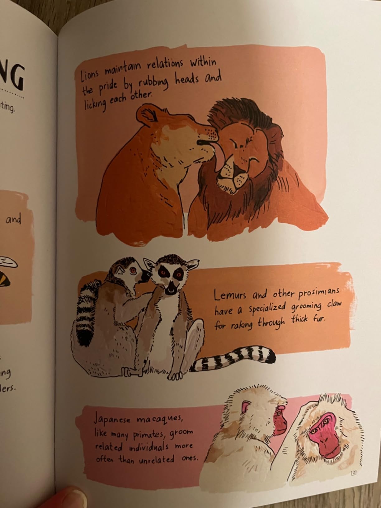 Wildlife Anatomy: The Curious Lives & Features of Wild Animals around the World customer photo 1