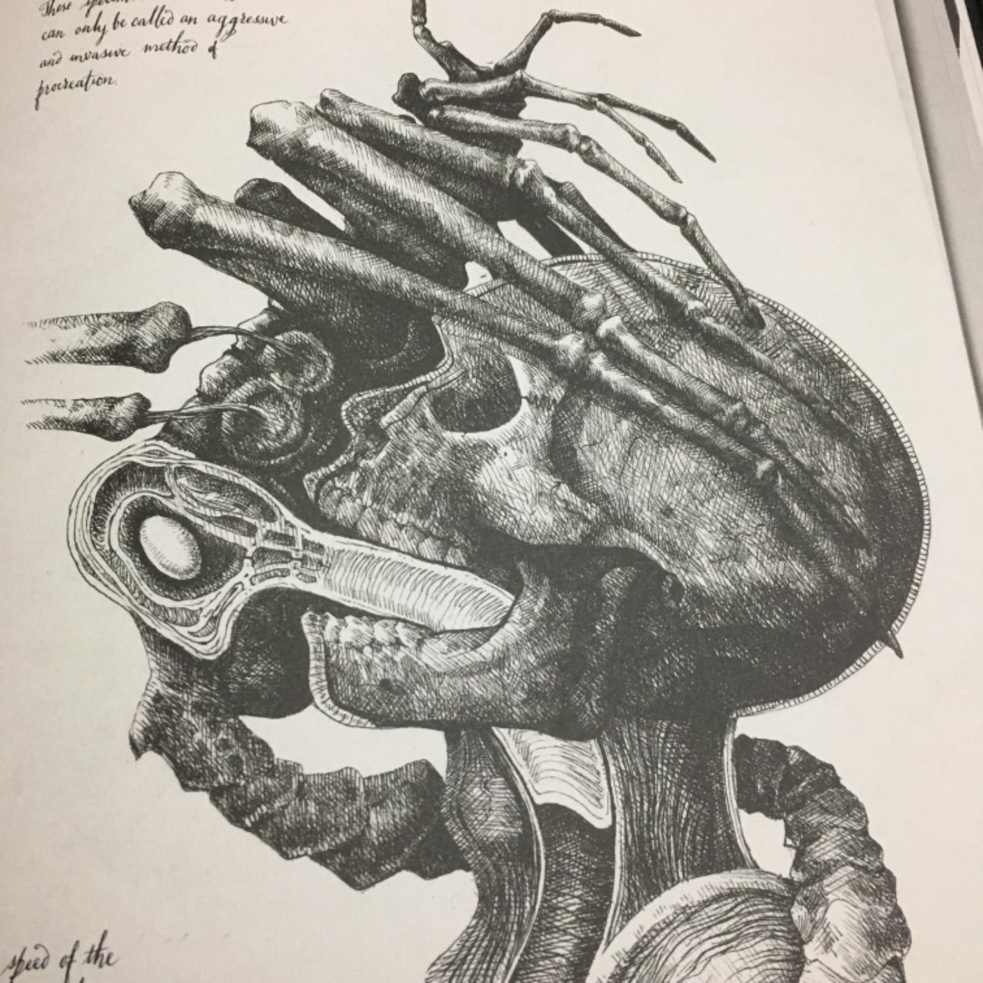 Alien Covenant: David’s Drawings customer photo 2