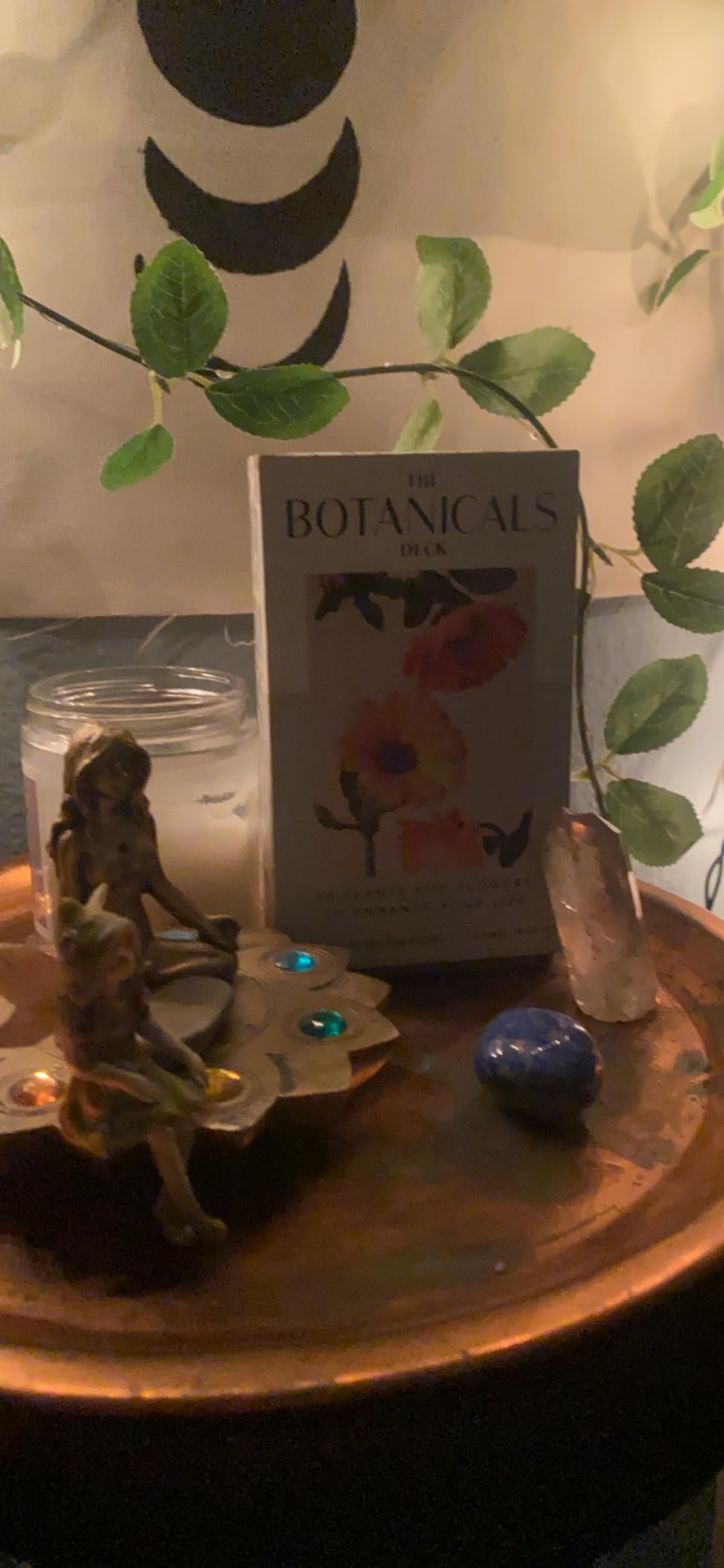 The Botanicals Deck: 70 Plants and Flowers to Enhance Your Life―Plus Herbal Recipes and Rituals customer photo 2