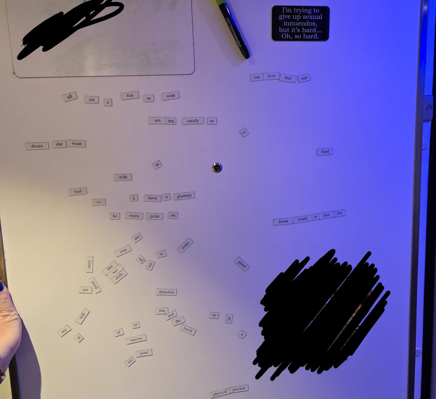 Magnetic Poetry - Little Box of Obscenities Kit - Words for Refrigerator - Write Poems and Letters on The Fridge - Made in The USA customer photo 1