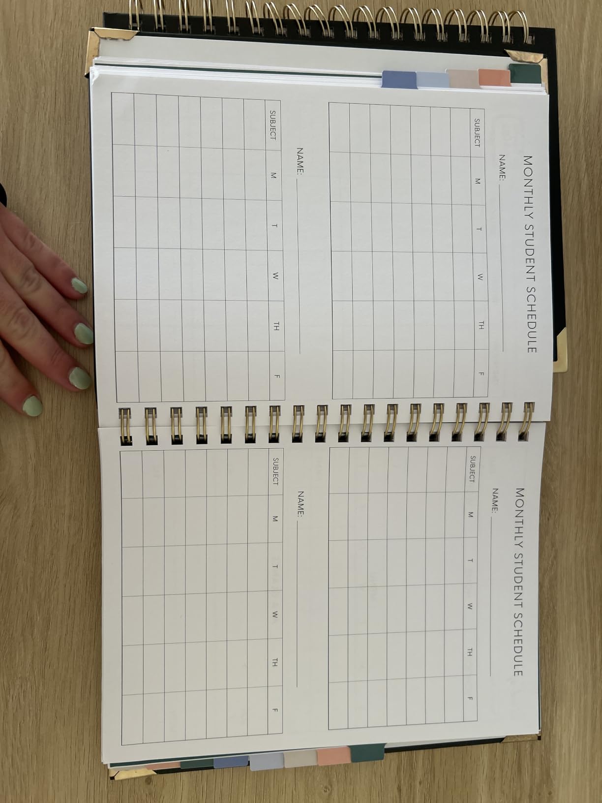 The Homeschool Planner: Beautiful and Undated with Monthly Tabs | To Do List, Goals, Meal Planning & Academic Tools | Homeschooling, Distance Learning & Family Organizer | Gold Spiral customer photo 2