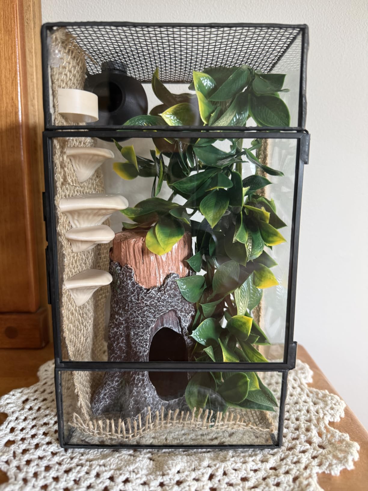 Hagen Exo Terra Plastic Terrarium Plant, Medium, Mandarin customer photo 2