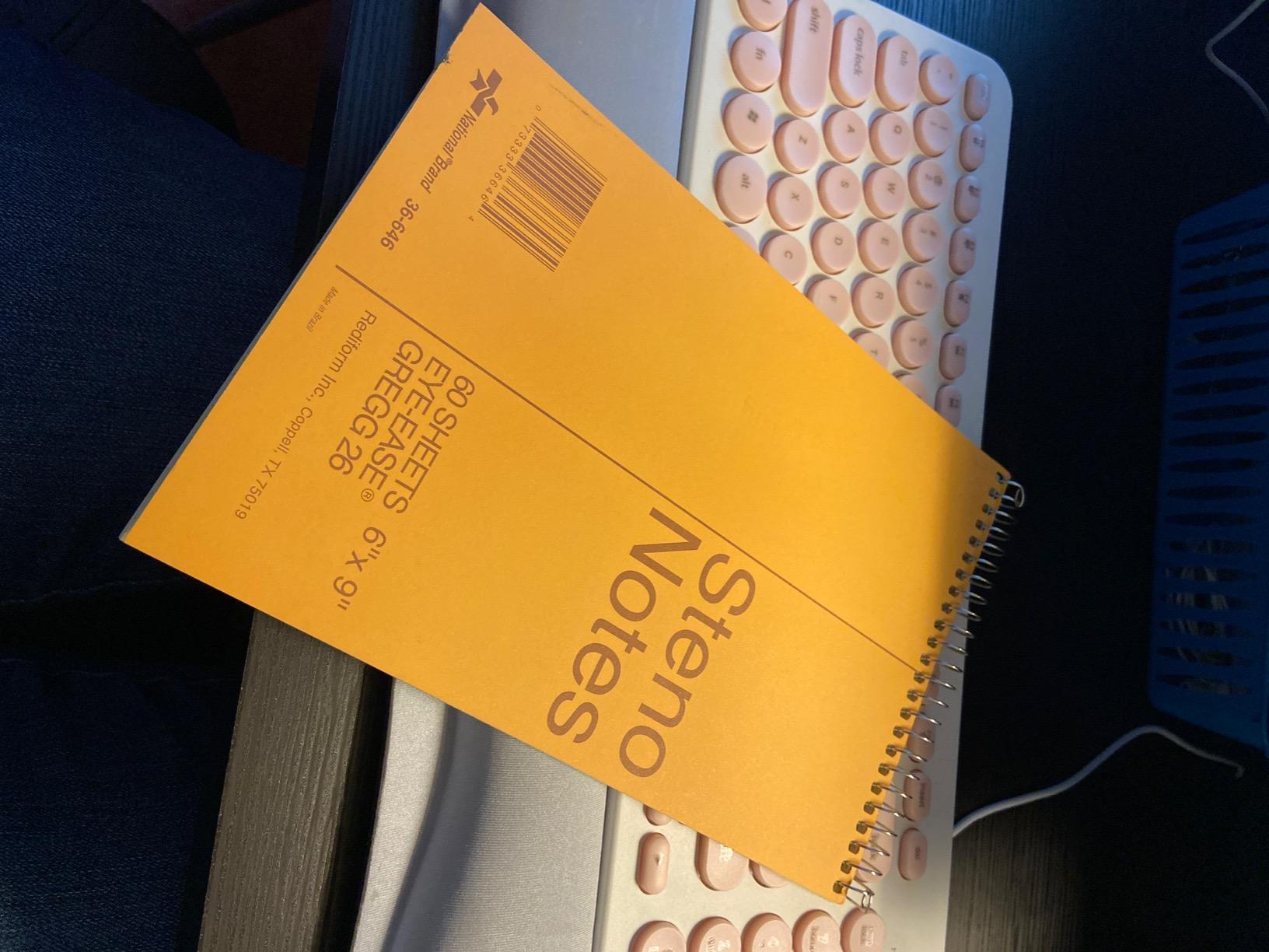 National Steno Notebook, Gregg-Ruled, Green Eye-Ease Paper, Brown Cover, 6