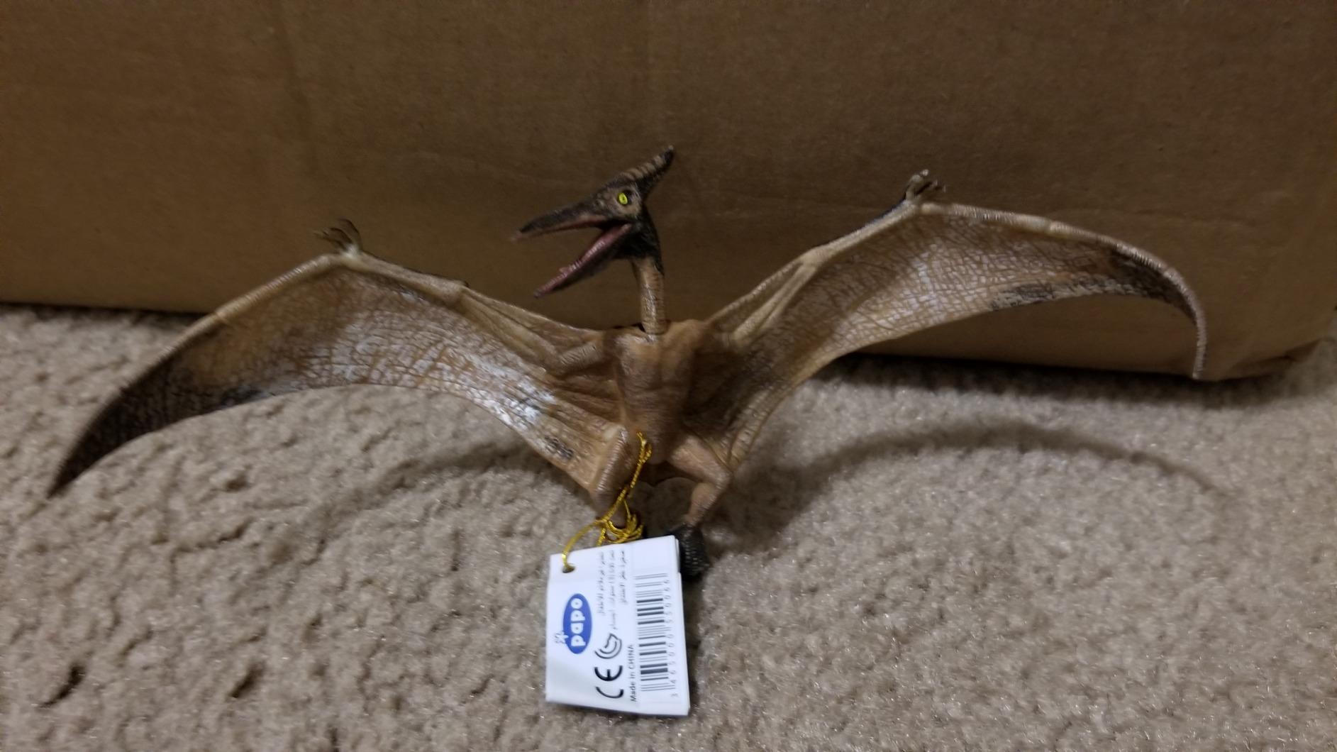 Realistic Pteranodon Dinosaur Figurine, Kids Ages 3+ customer photo 1
