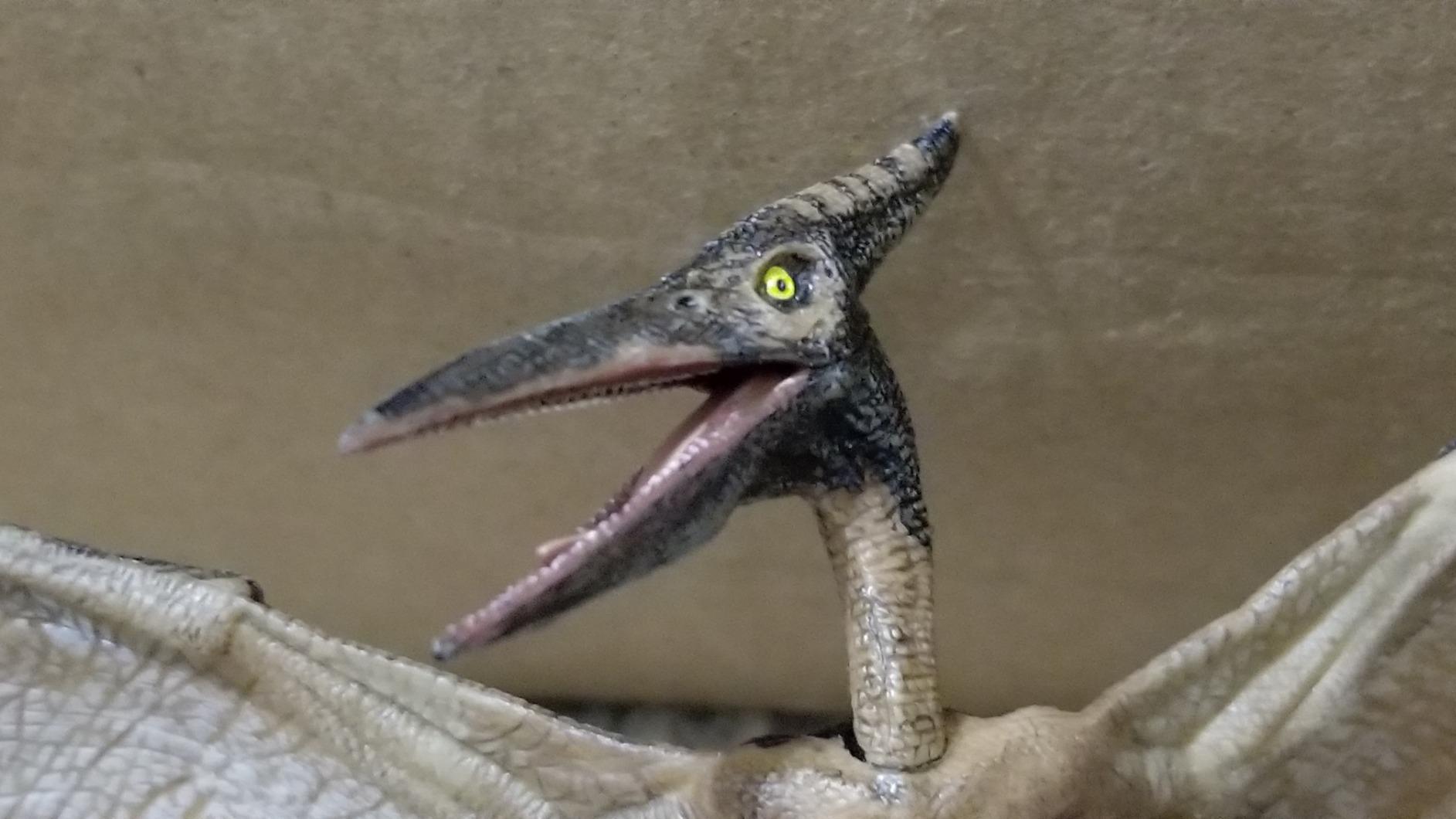 Realistic Pteranodon Dinosaur Figurine, Kids Ages 3+ customer photo 2