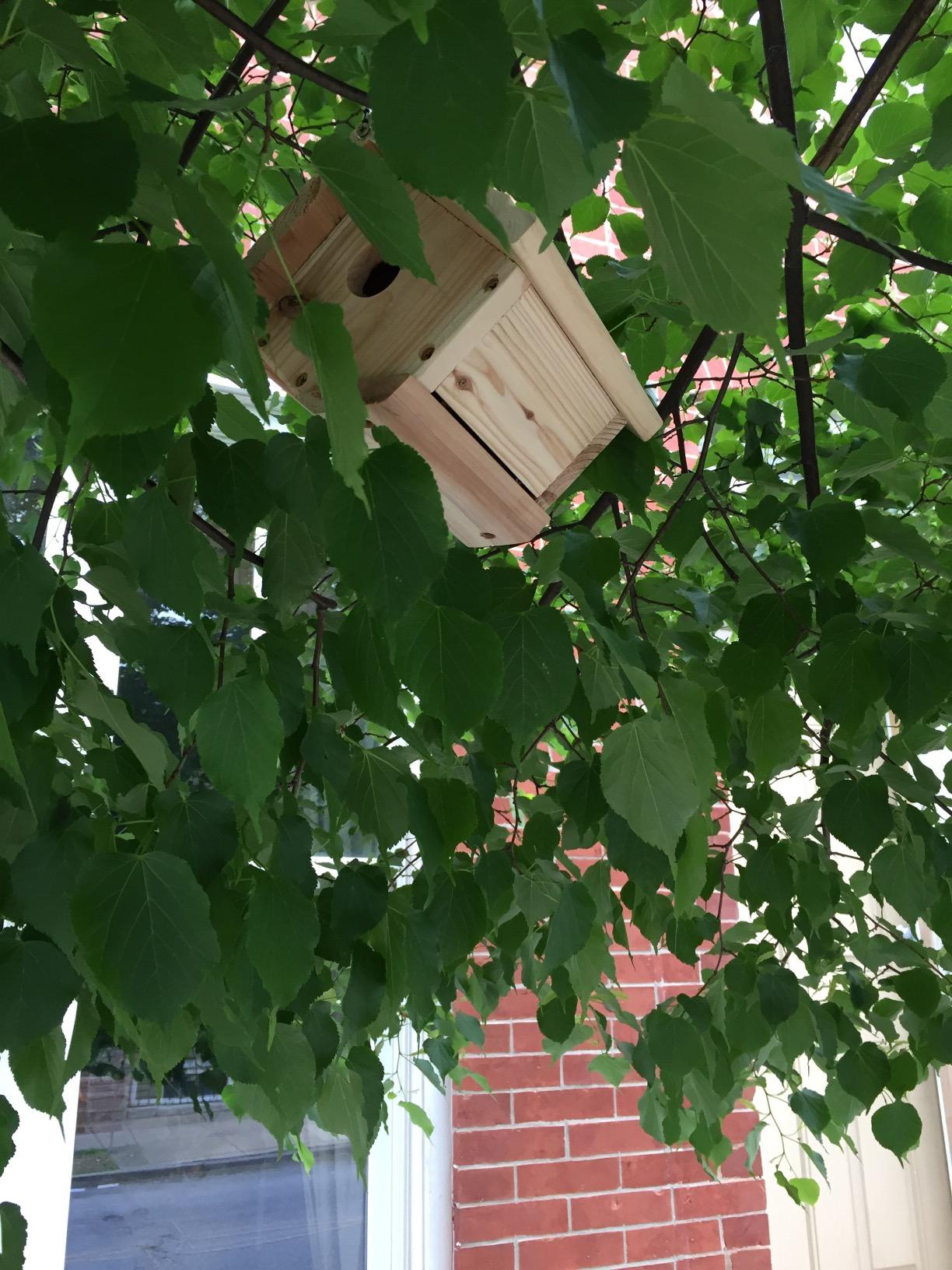 Woodlink Audubon Traditional Wren House Model NAWREN customer photo 2