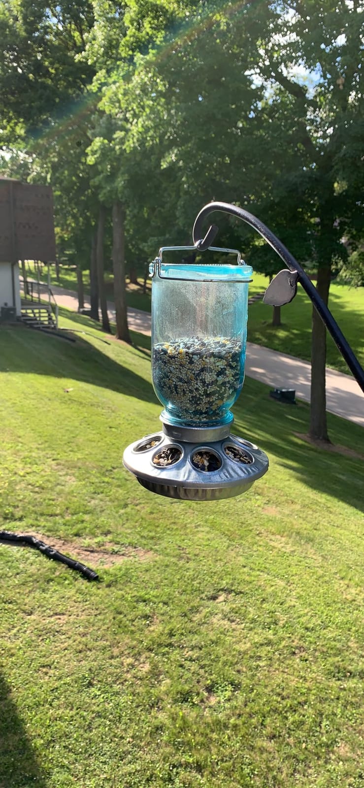 Baby Chick Feeder Base - Little Giant - Metal Feeder Base Jar, Standard 1 Quart (Item No. 9810) customer photo 1