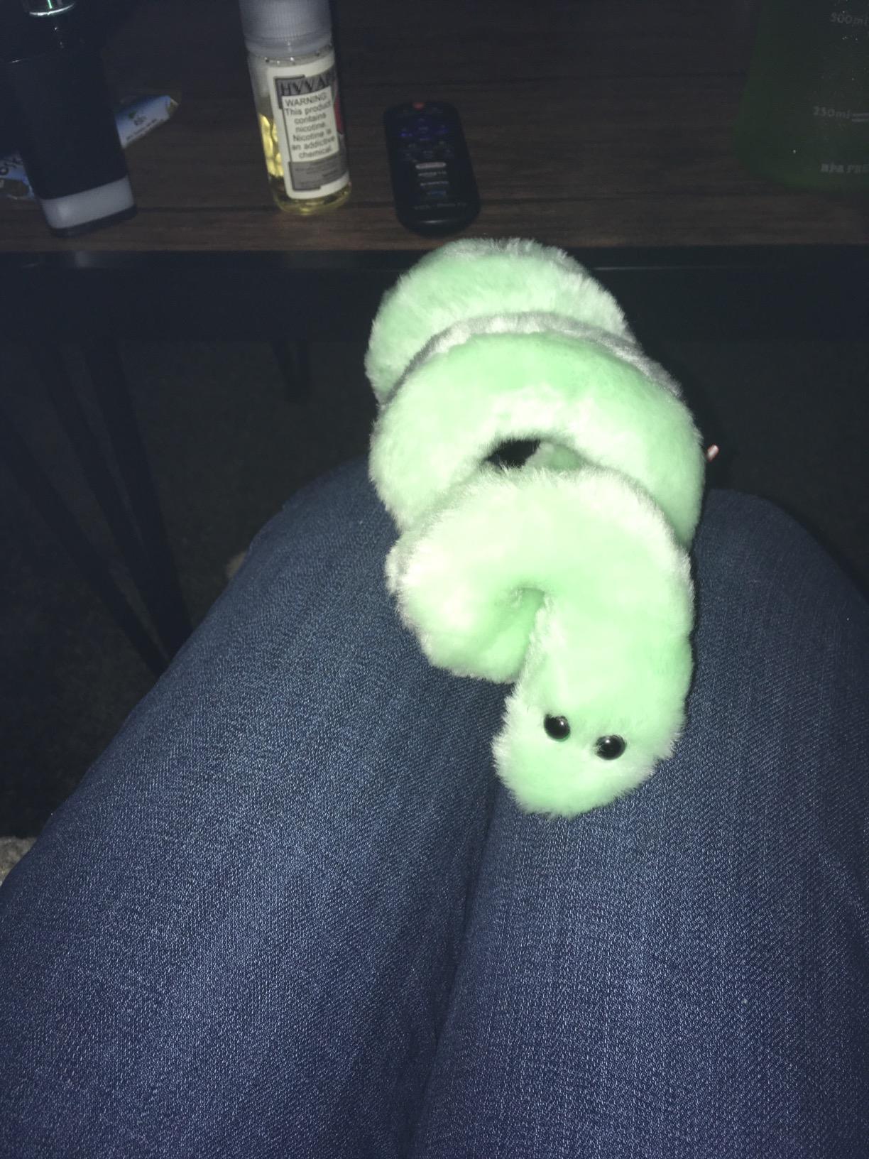 GIANTmicrobes Lyme Disease Plush – Learn About This Tick borne Disease with This Memorable Plush, Unique Gift for Patients, Scientists, Students, Doctors and Health Professionals customer photo 2