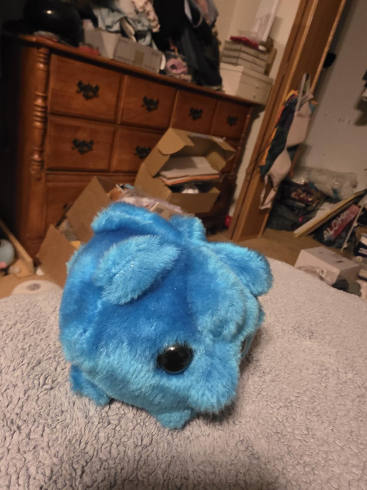 GIANTmicrobes Common Cold Plush, Pediatrician Gifts, School Nurse Gifts, Cold Care Package, Present for Sick Friend, Funny Doctor Gift, Biology Gift customer photo 1