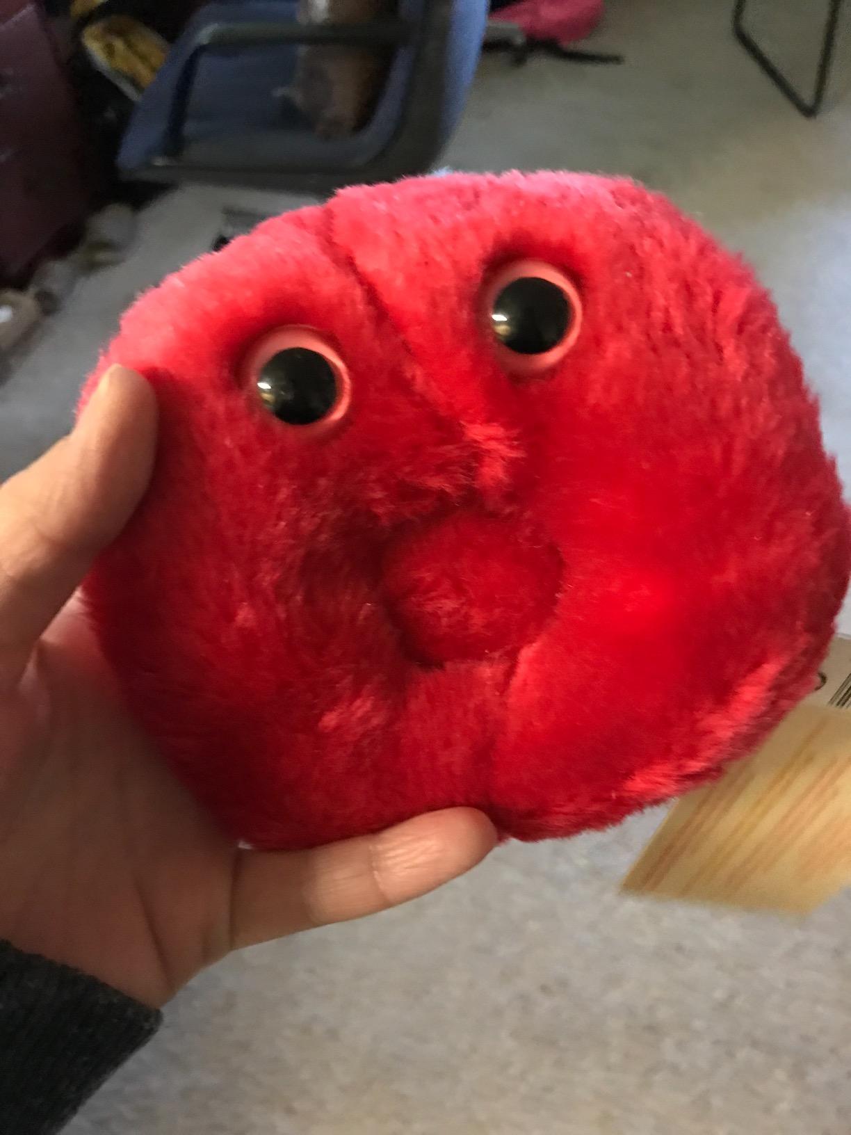 GIANTmicrobes Red Blood Cell Plush, Blood Drop Plush, Blood Bank, Gifts for Lab Techs, Hematology, Phlebotomy Gifts, Leukemia Awareness, Immunology Gift, Lymphatic System customer photo 2